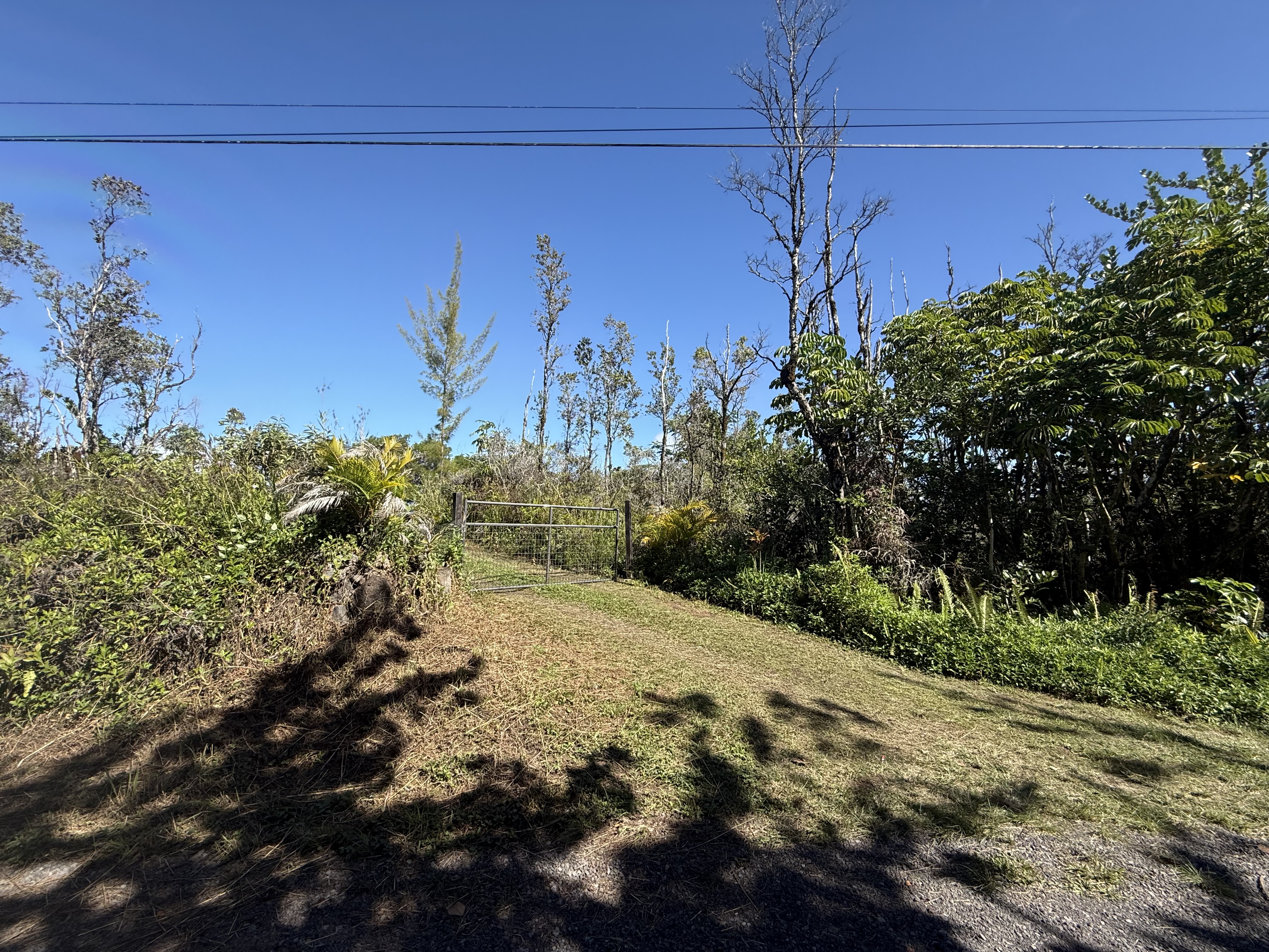 3rd Ave Property Photo 5