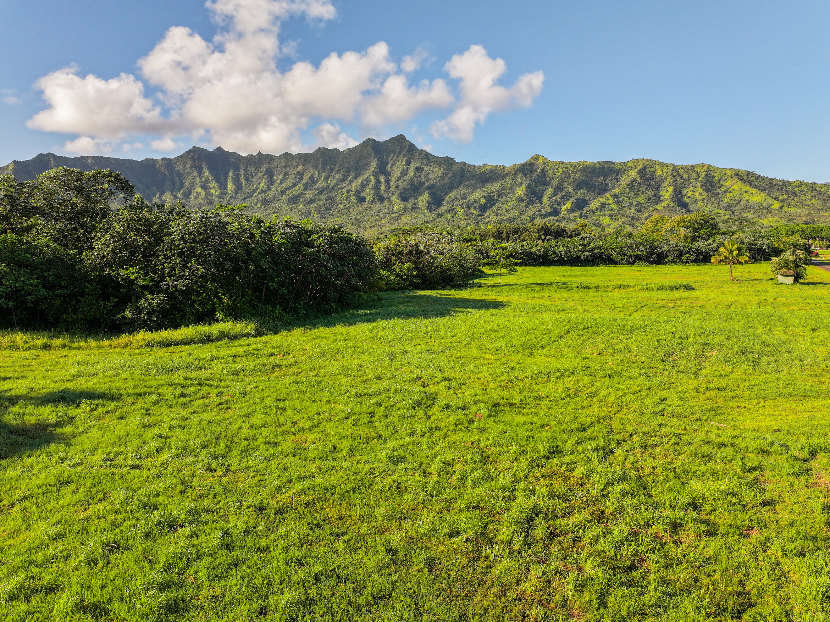 5835 Kahiliholo Rd 4 Property Photo 8