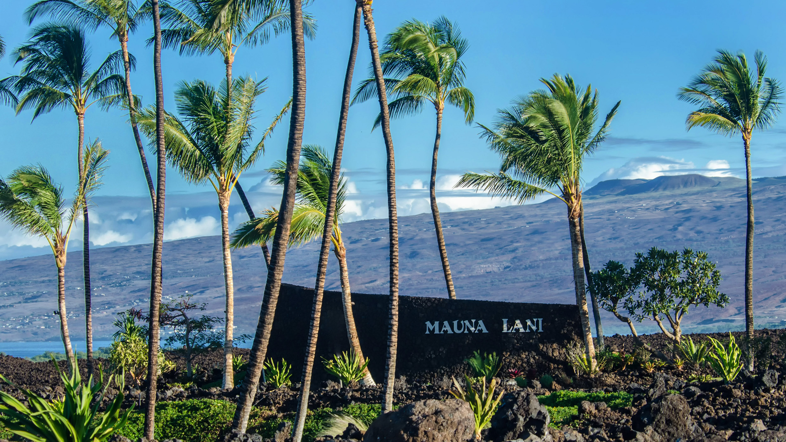 68-1399 Mauna Lani Dr G101 Property Photo 29