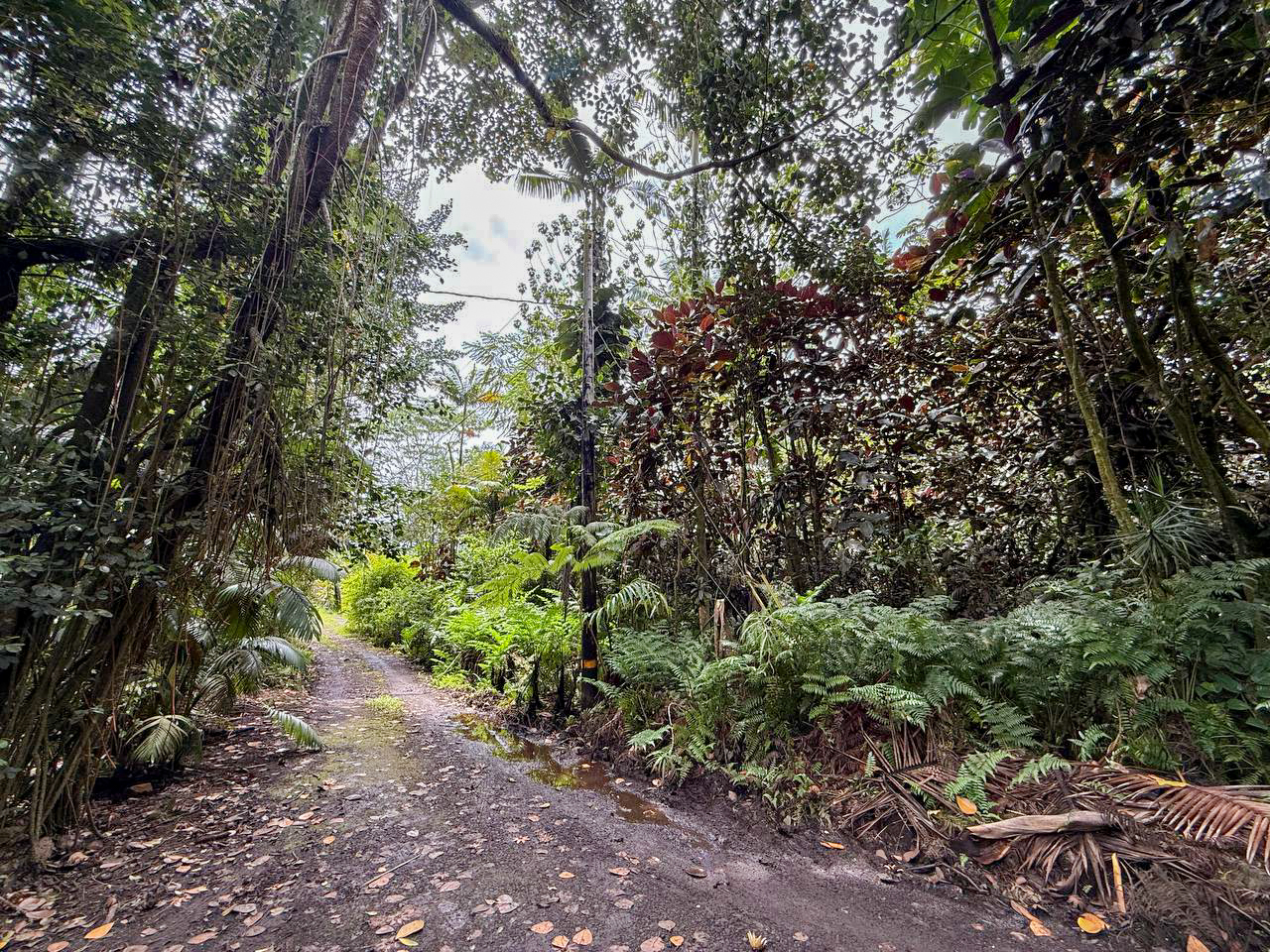 Japanese Camp Rd Property Photo 4