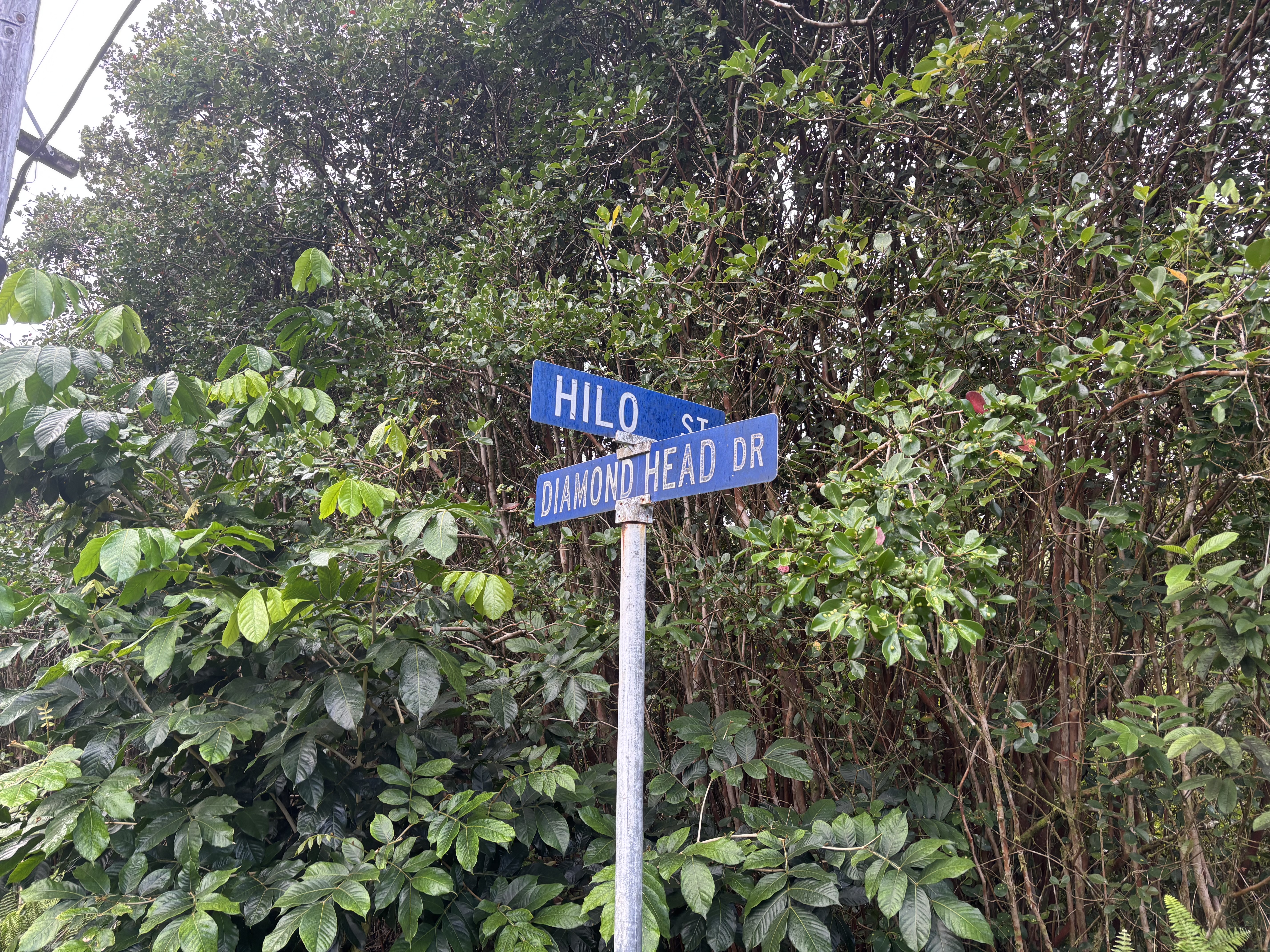 Hilo St Property Photo 1