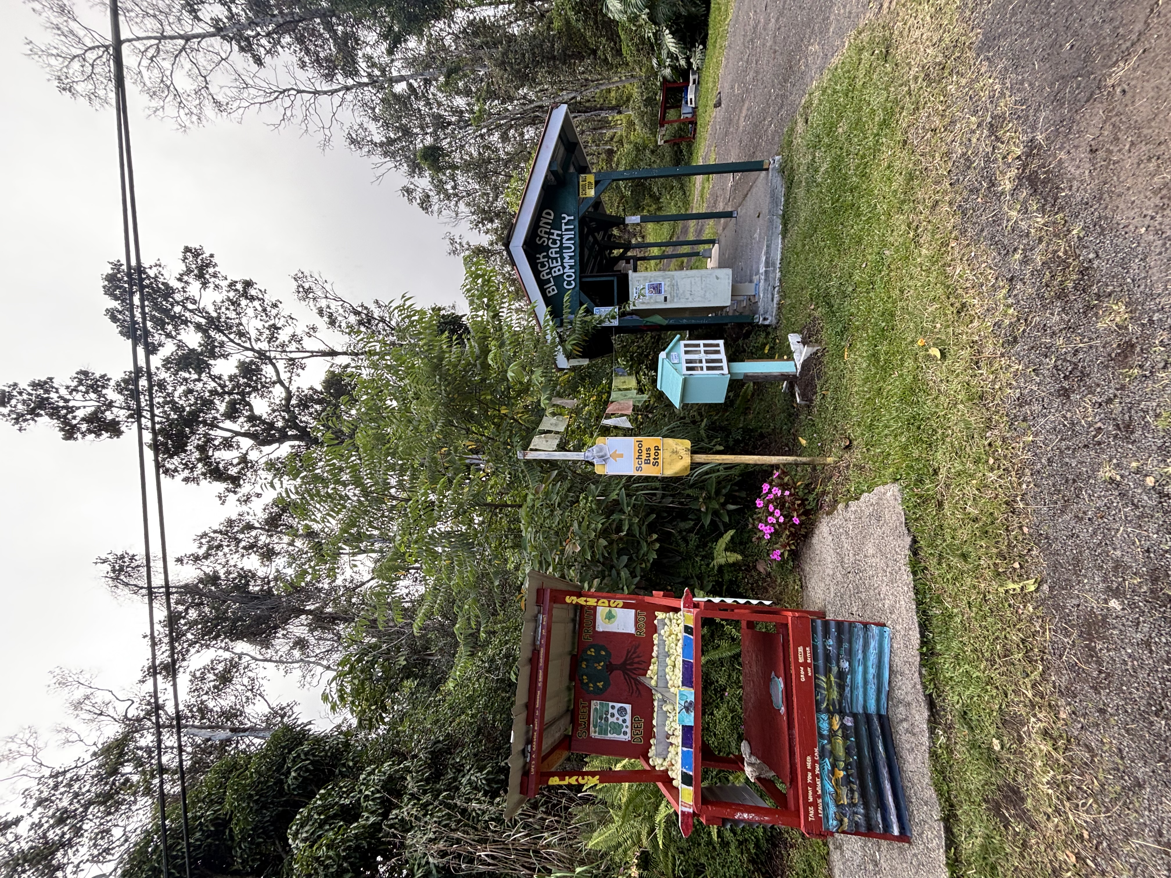 Hilo St Property Photo 2