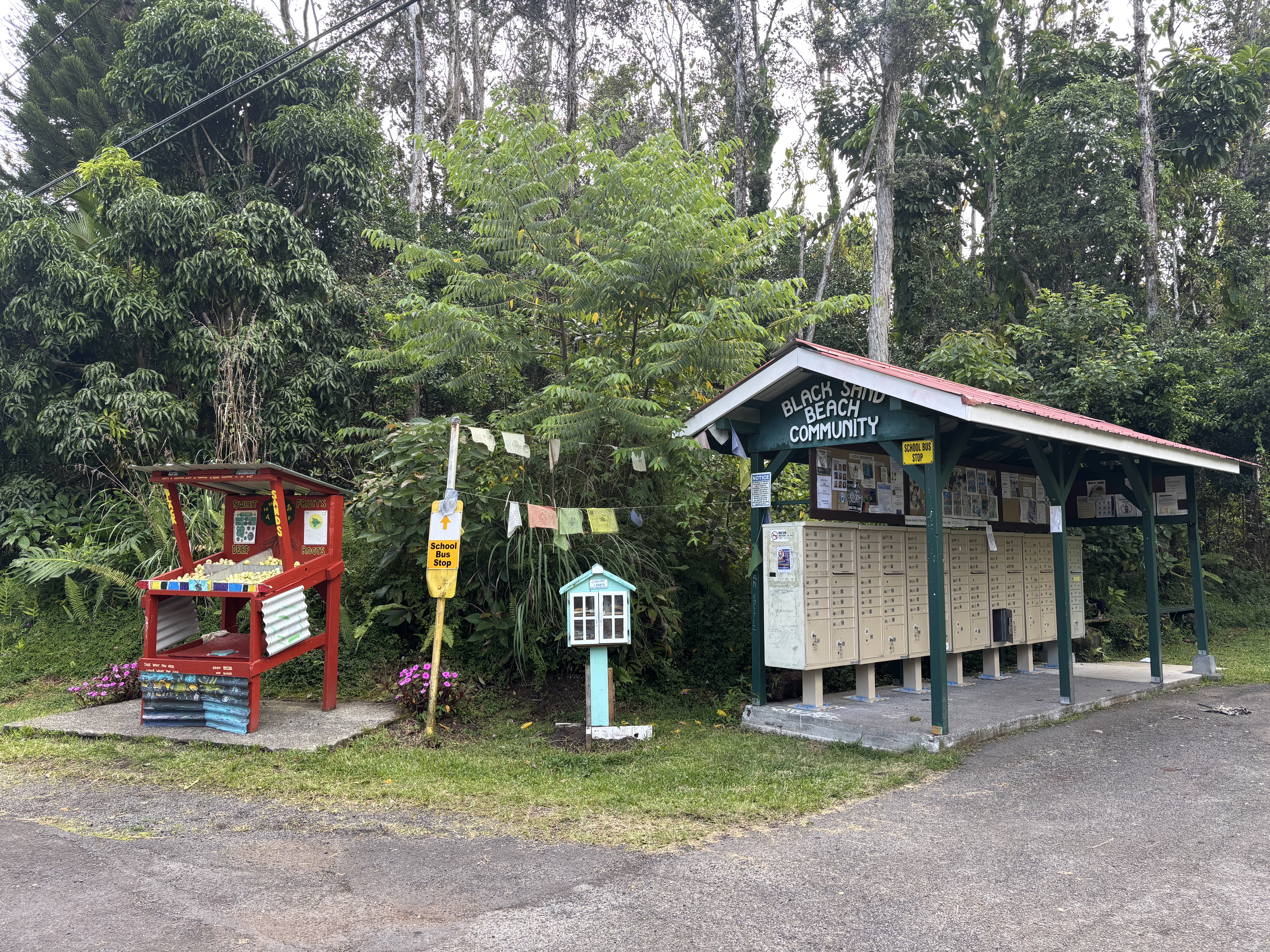 Hilo St Property Photo 3