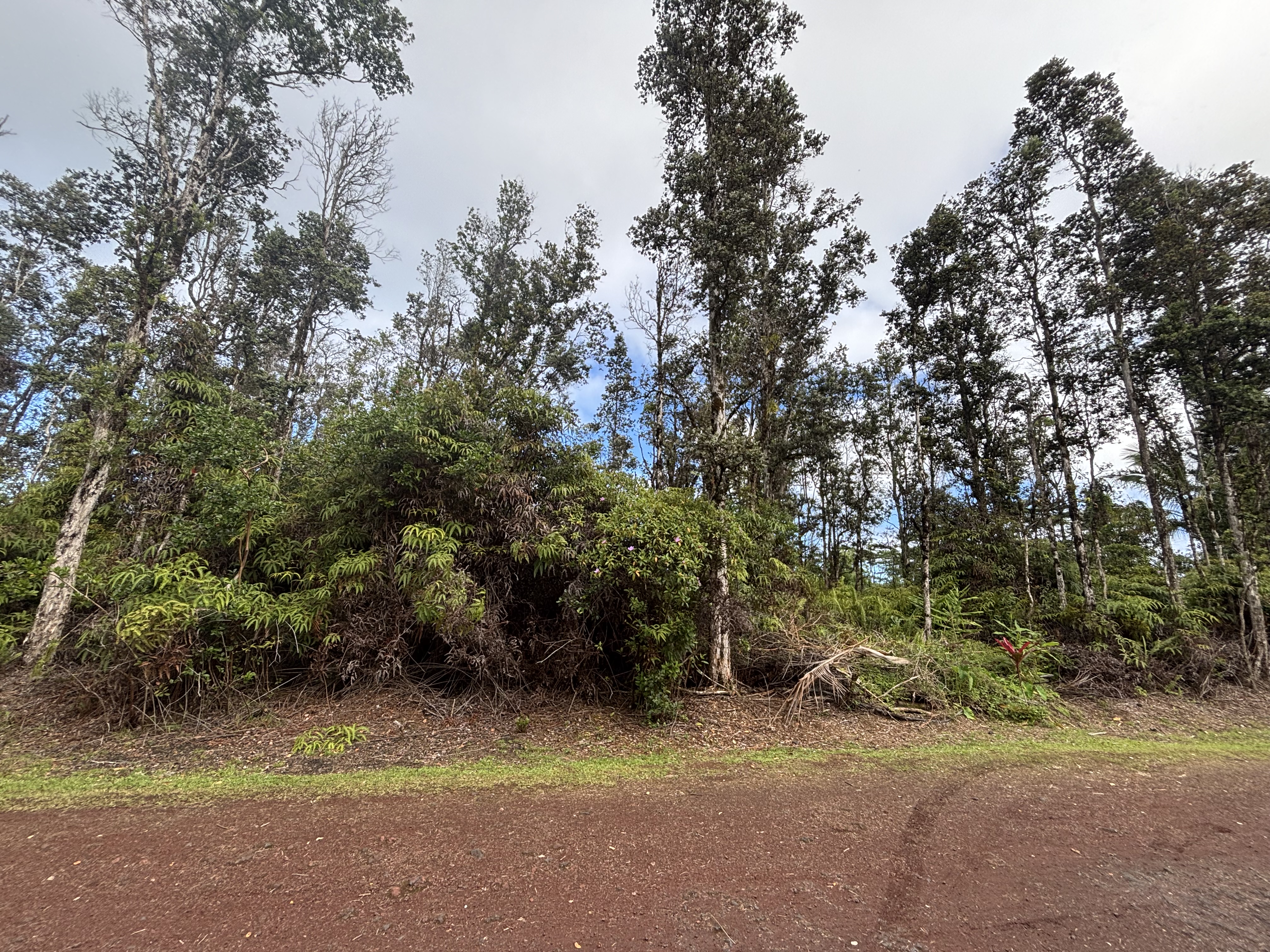 Hilo St Property Photo 4