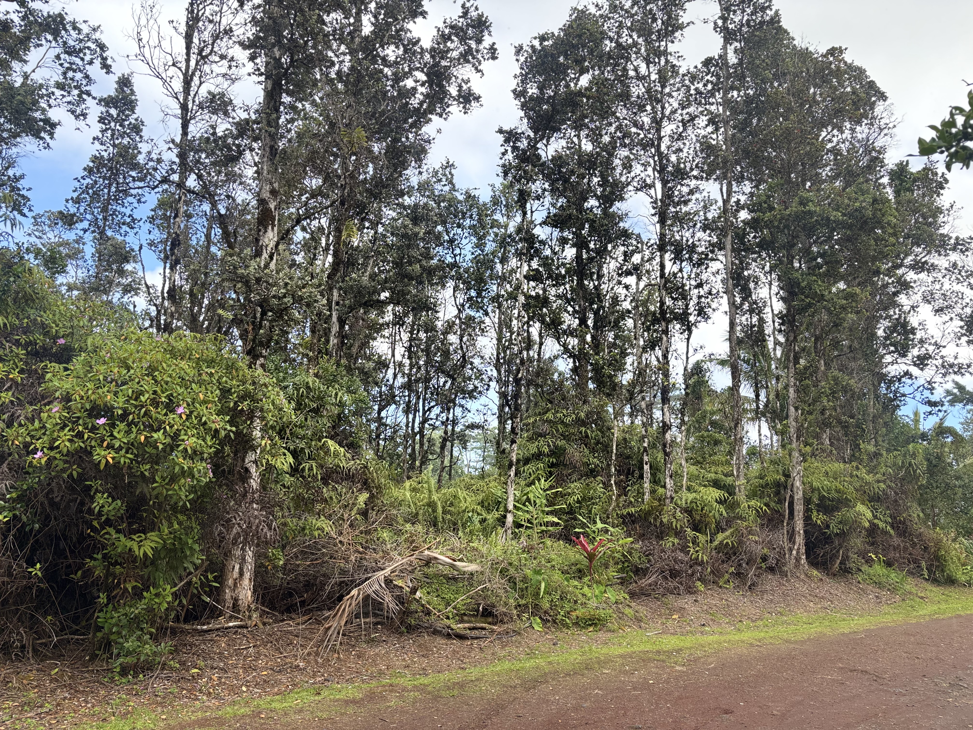 Hilo St Property Photo 6