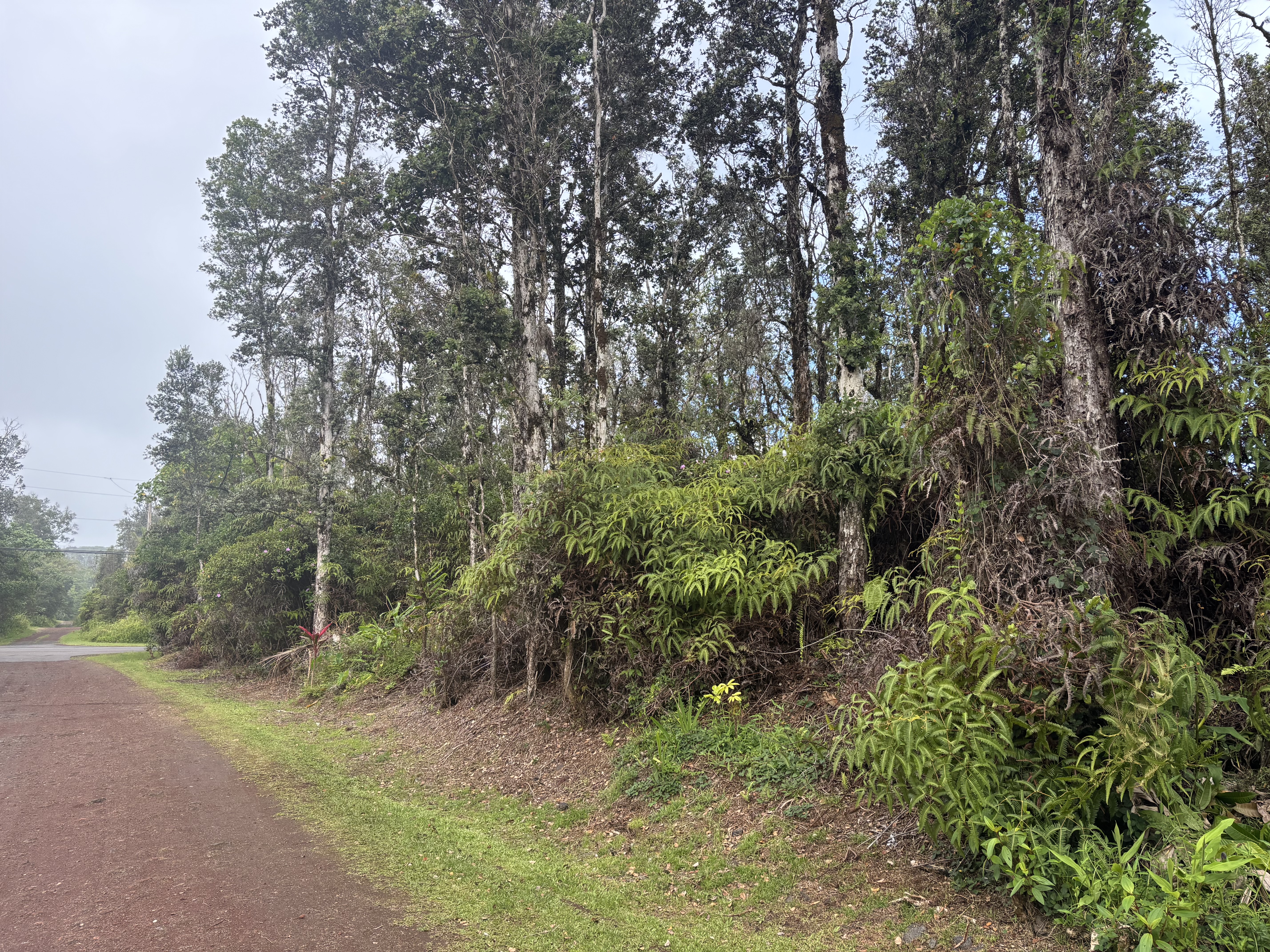 Hilo St Property Photo 7