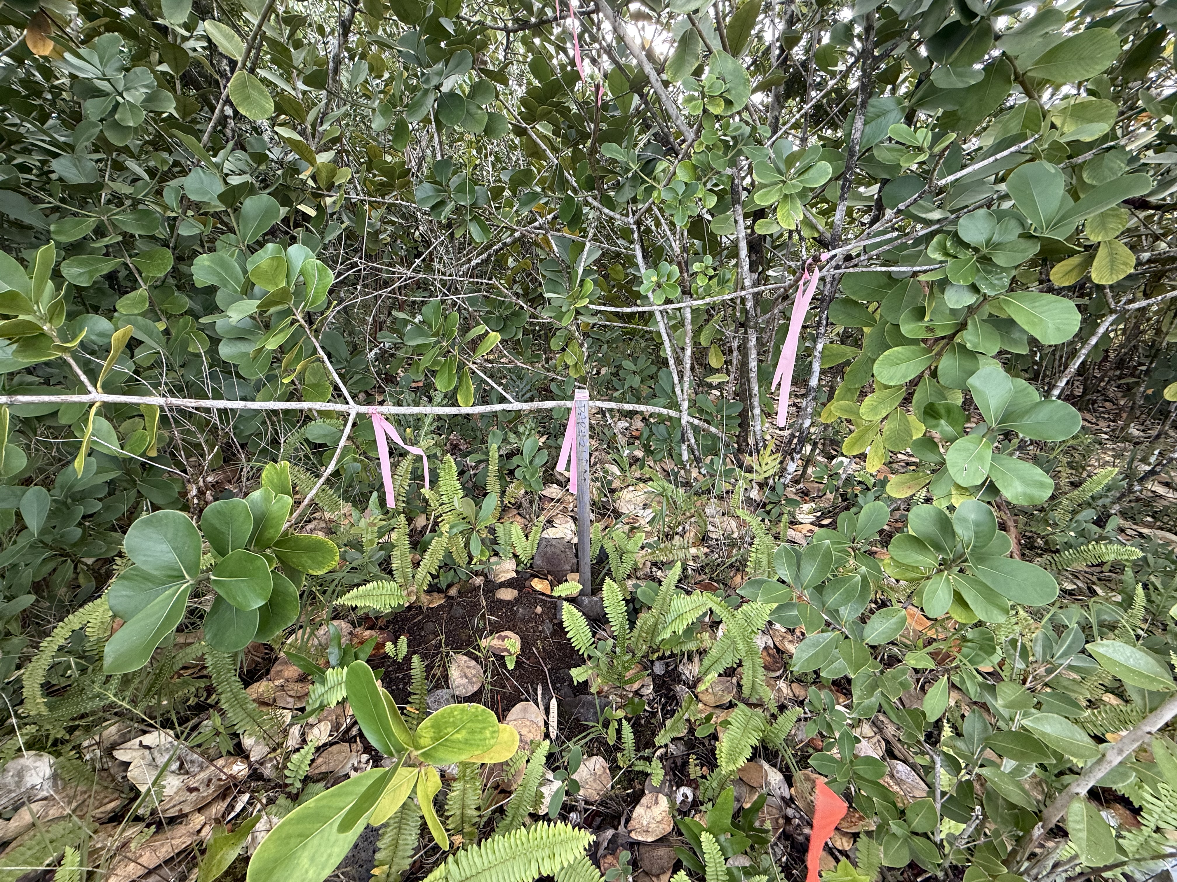 15-1576 Beach Road Property Photo 18