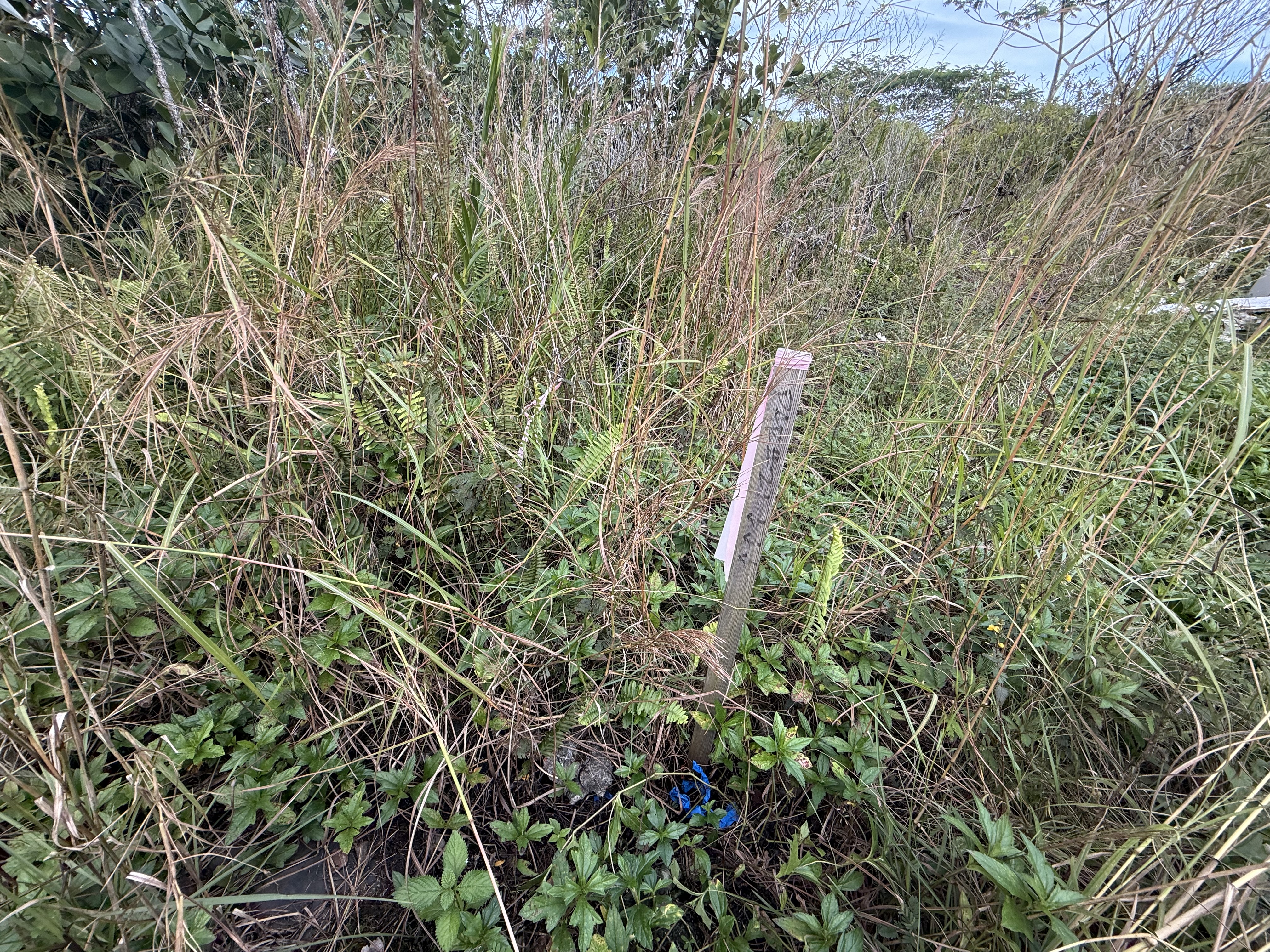 15-1576 Beach Road Property Photo 23