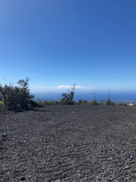 ALOHA BLVD Property Photo 1