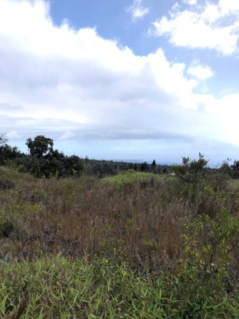 Aloha Blvd Property Photo 8