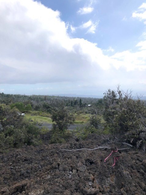 Aloha Blvd Property Photo 10