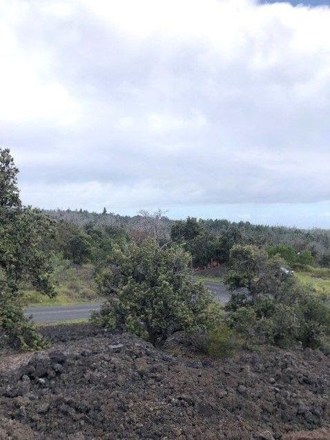 Aloha Blvd Property Photo 12