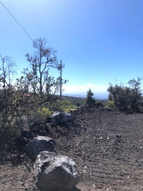 Aloha Blvd Property Photo 17