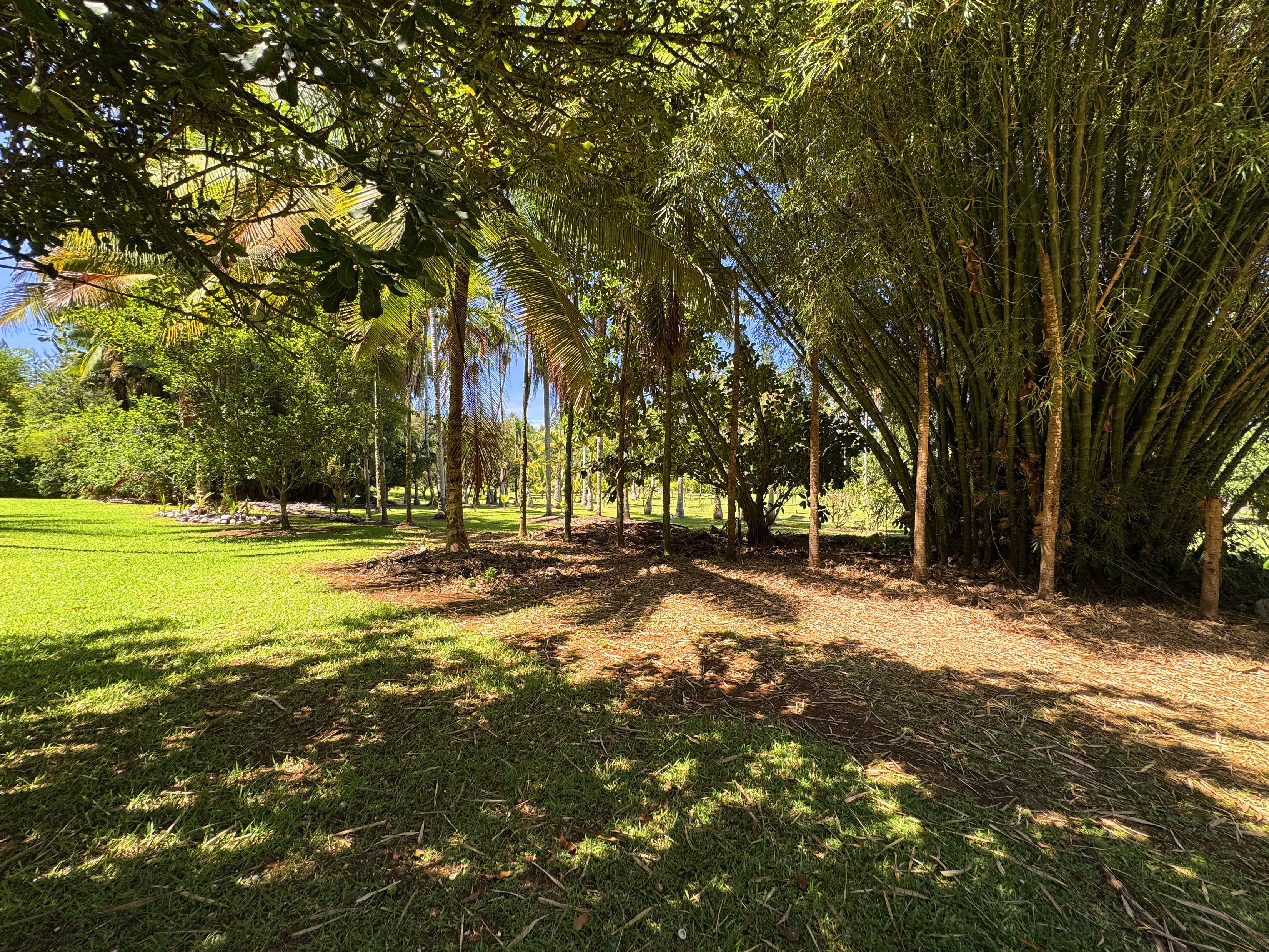 29-3707 Kanna Road Property Photo 7
