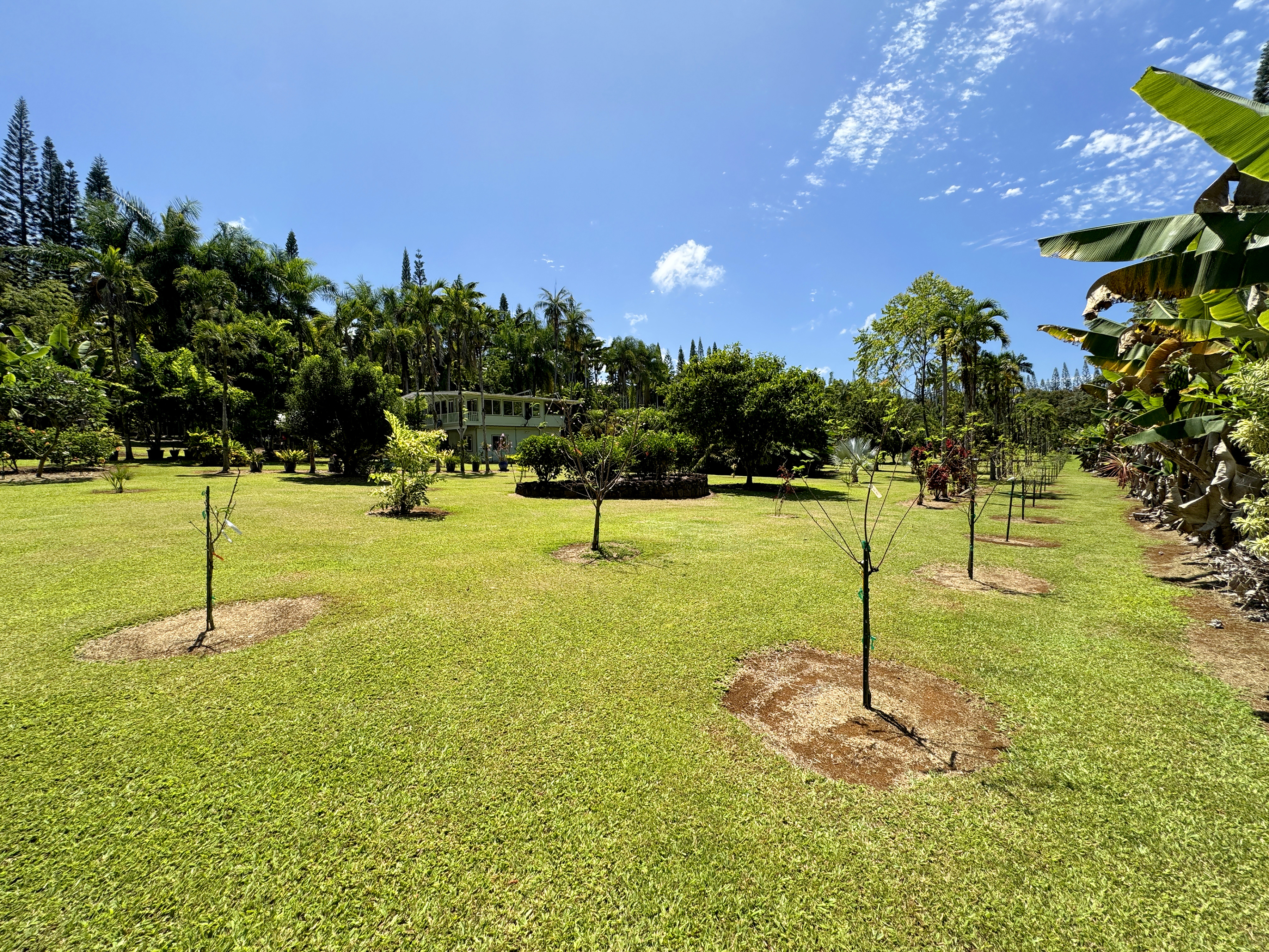 29-3707 Kanna Road Property Photo 10