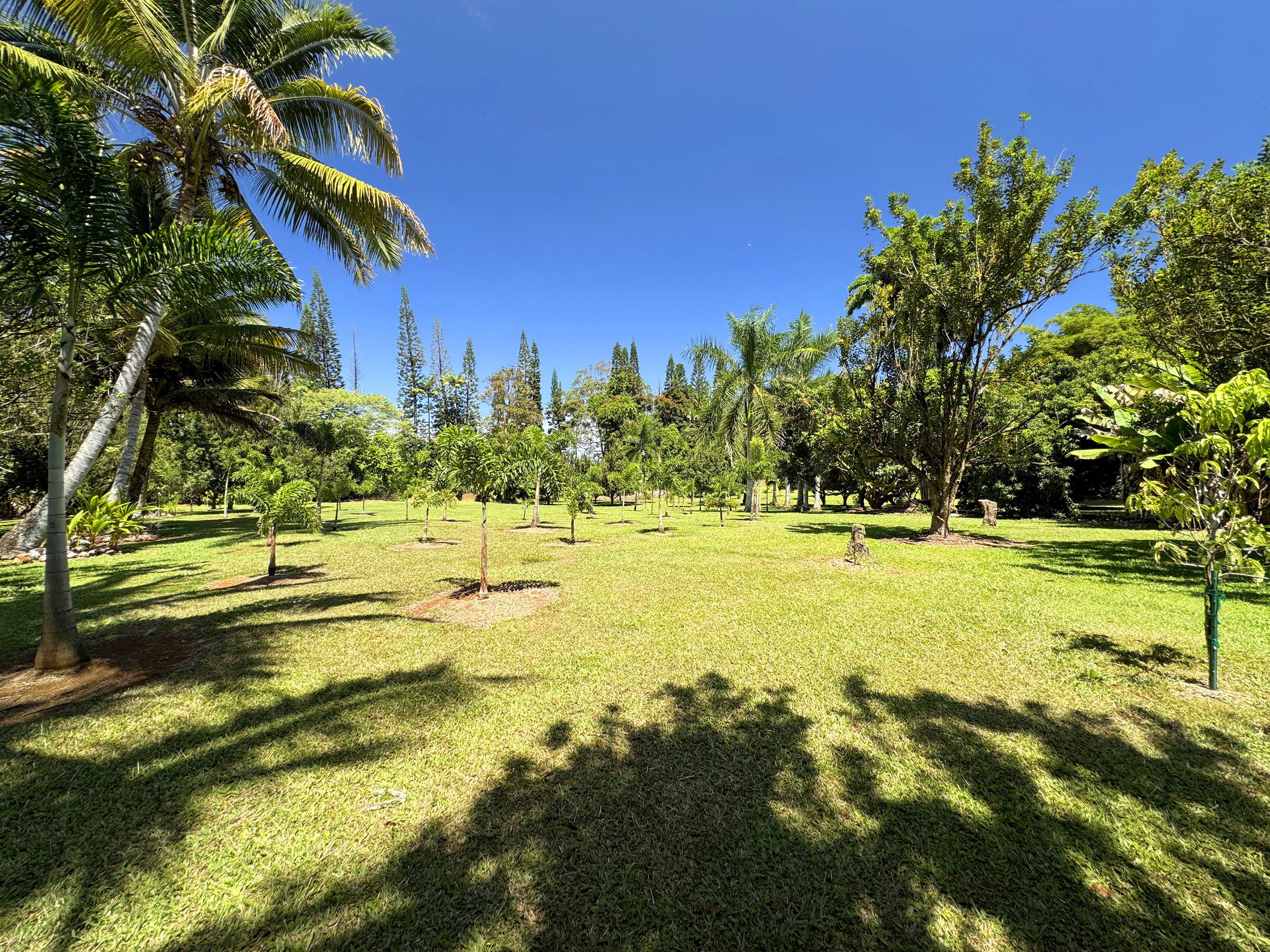 29-3707 Kanna Road Property Photo 18