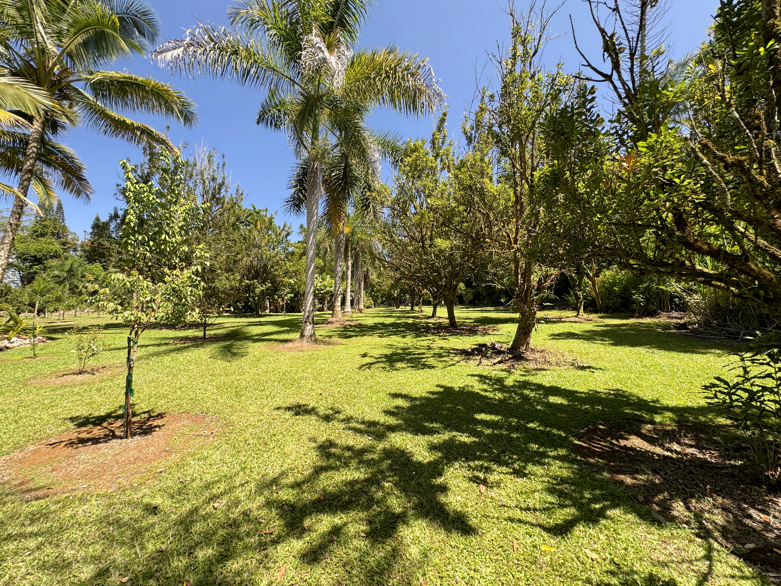 29-3707 Kanna Road Property Photo 20