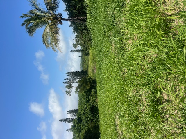 Kanaloa Pl Property Photo 1