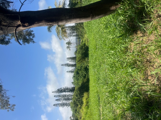 Kanaloa Pl Property Photo 9