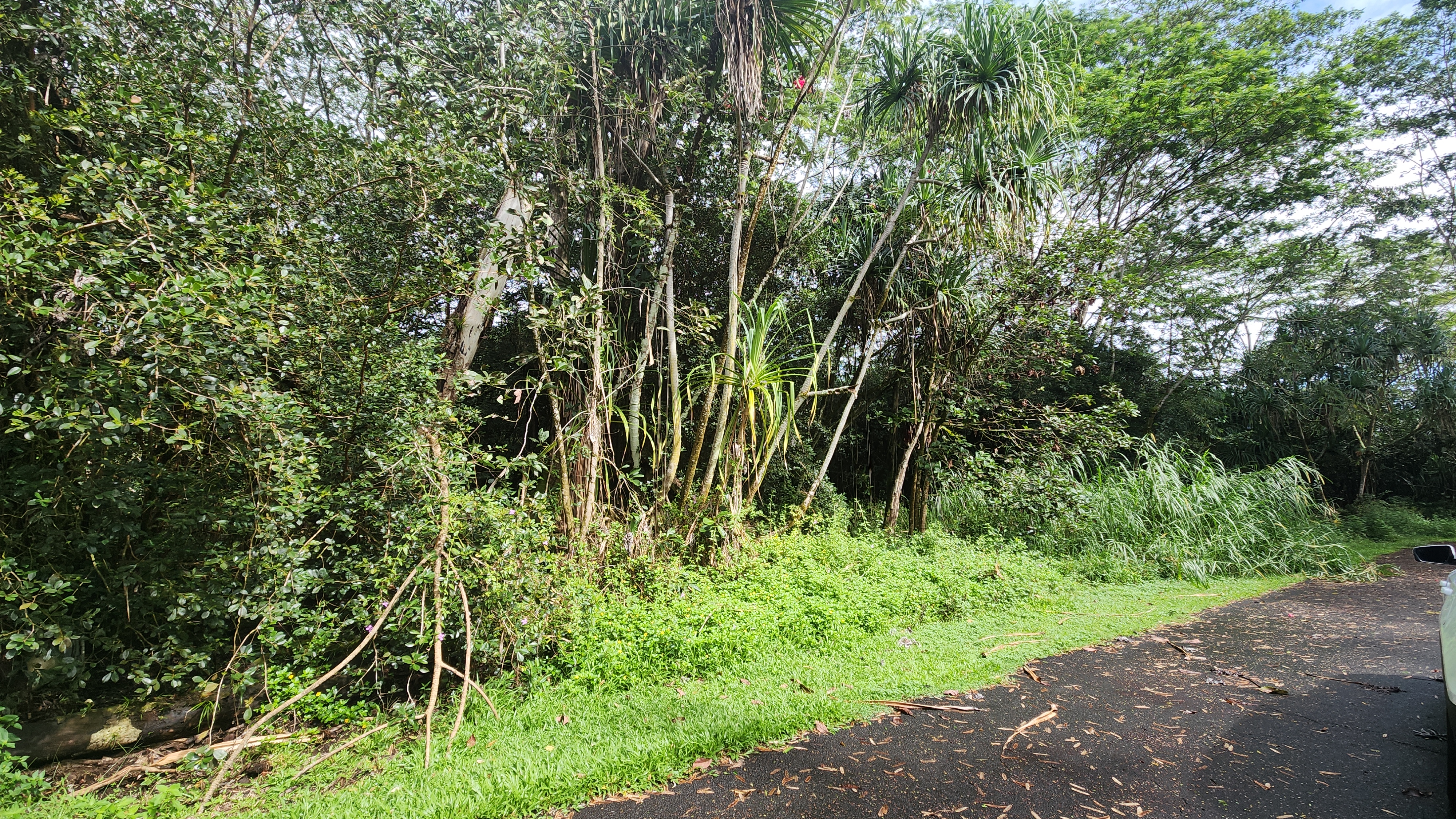 Ohiki St Property Photo 1