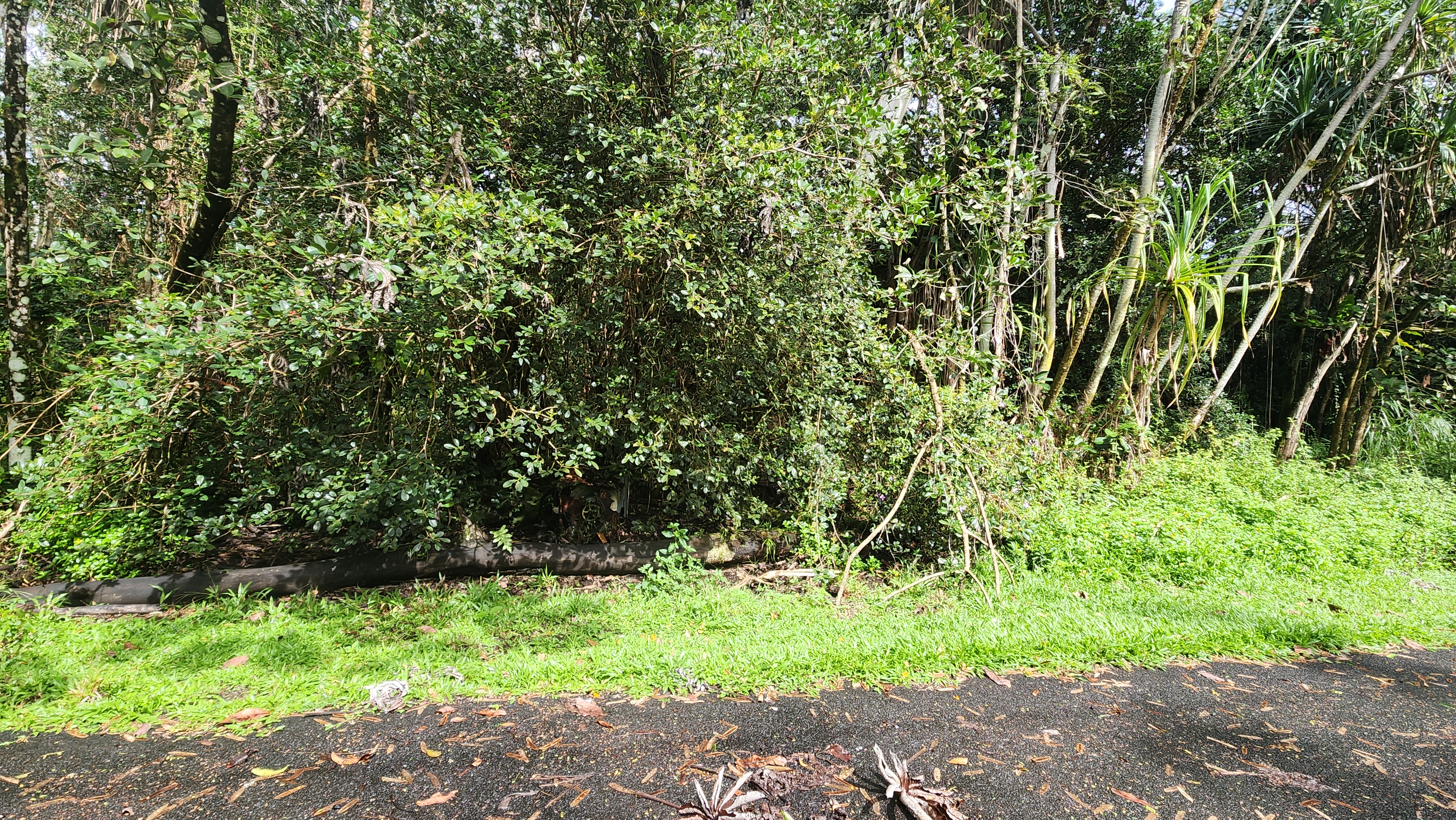 Ohiki St Property Photo 3