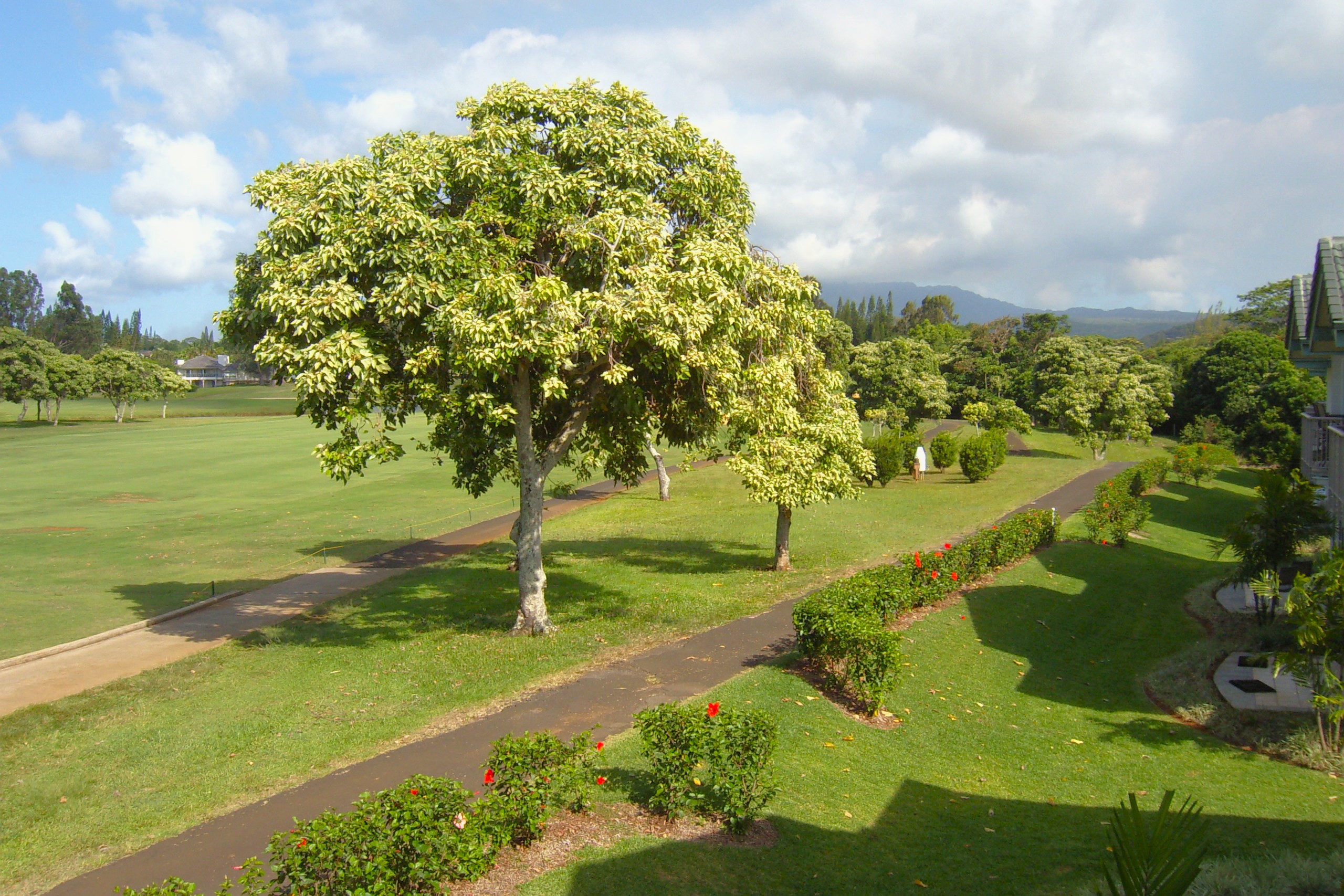 4141 Lei O Papa Rd 3 Property Photo 8