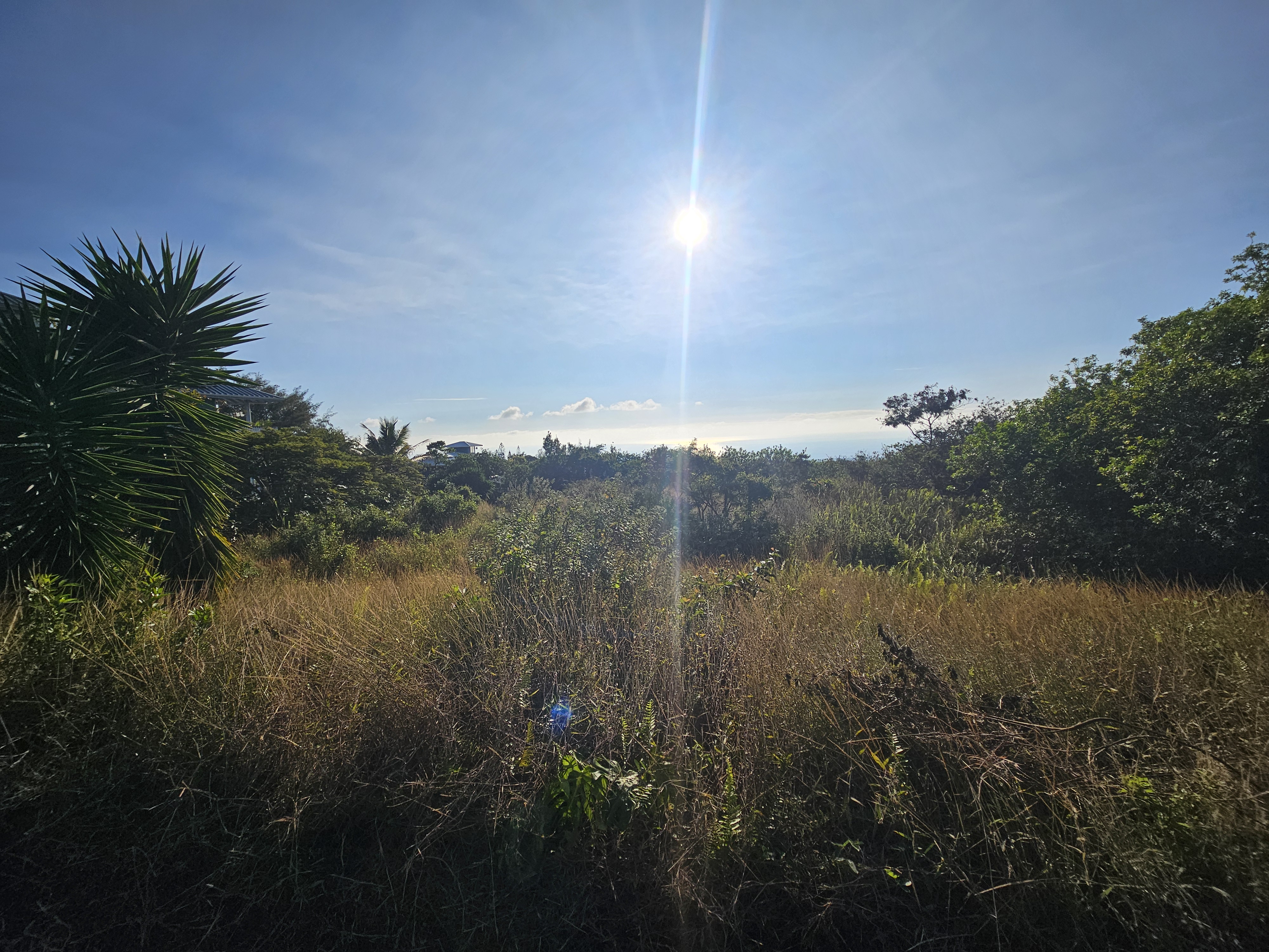 94-6587 Lewa Lani St Property Photo 10