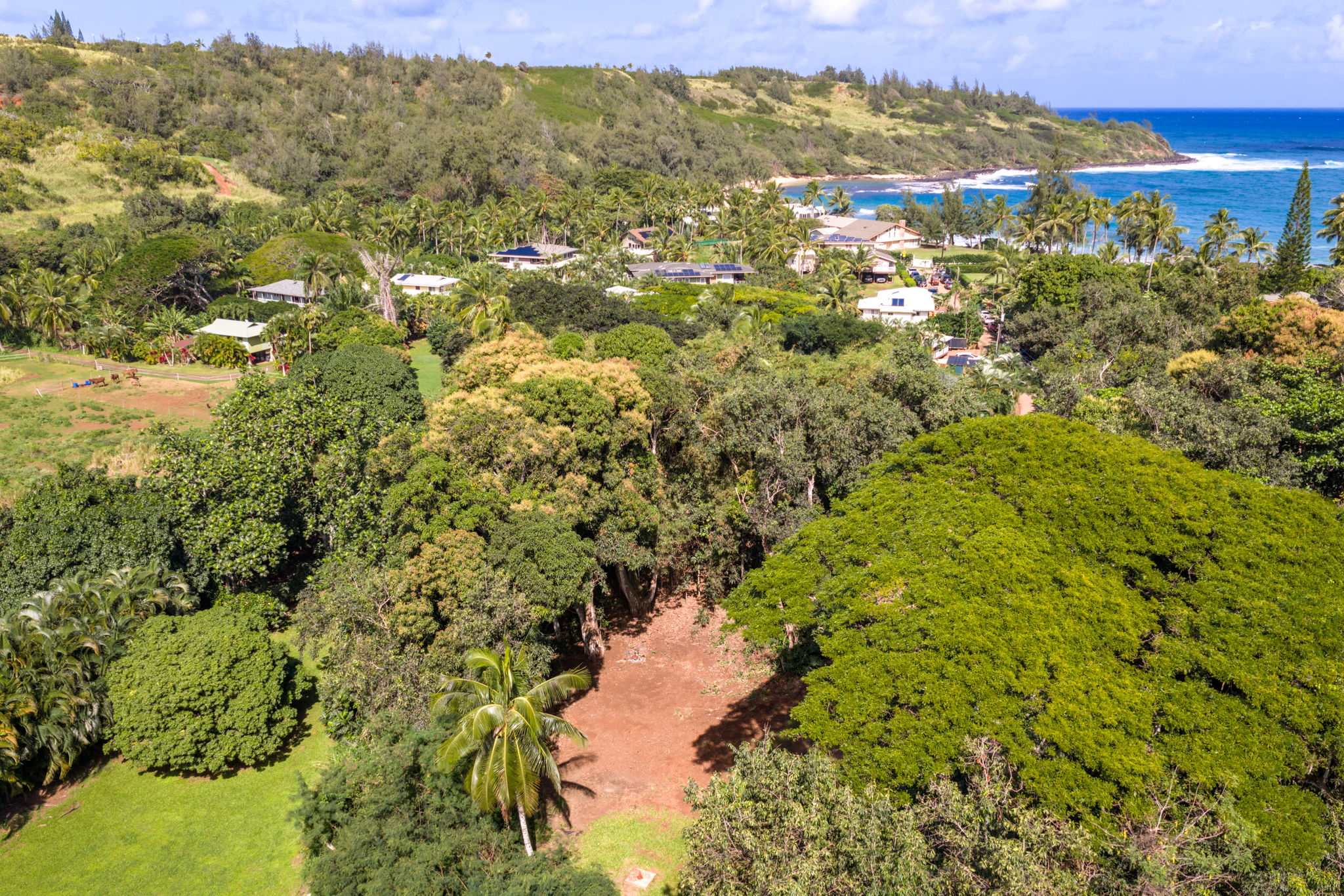 Moloaa Rd Property Photo 6