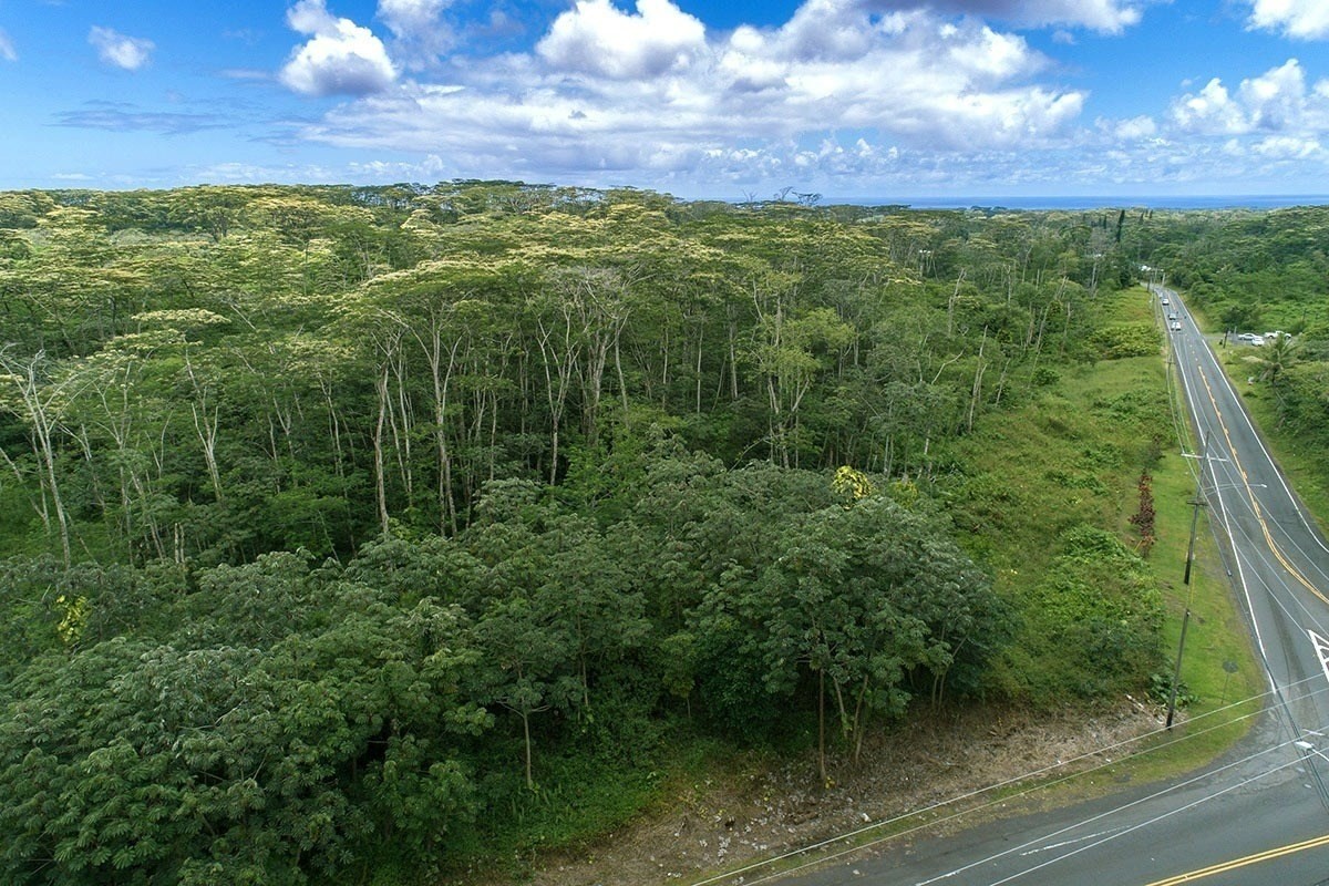 Kapoho Rd Property Photo 1