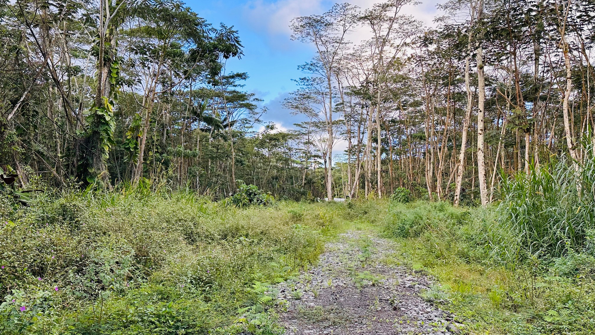 Kapoho Rd Property Photo 2