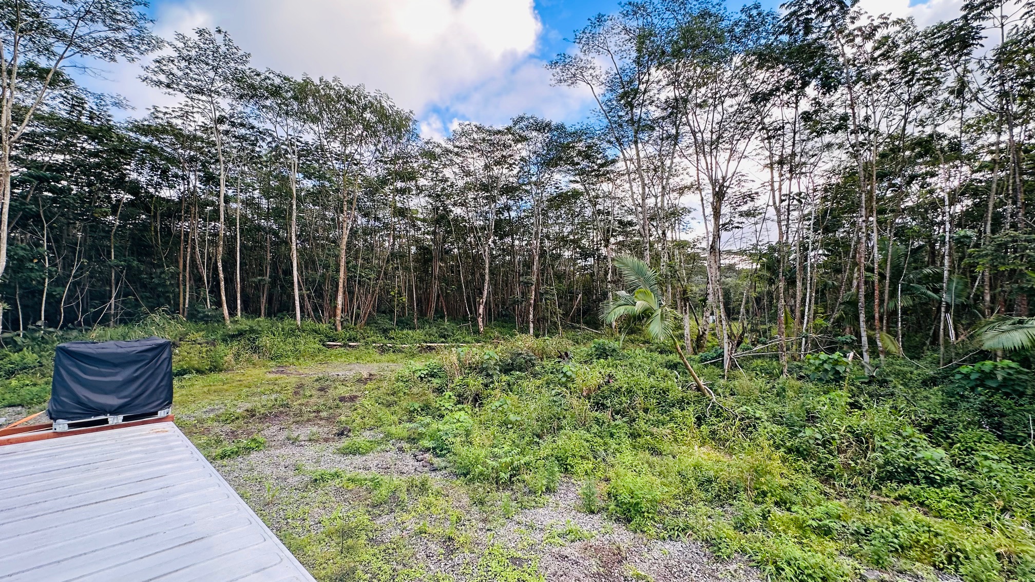 Kapoho Rd Property Photo 4