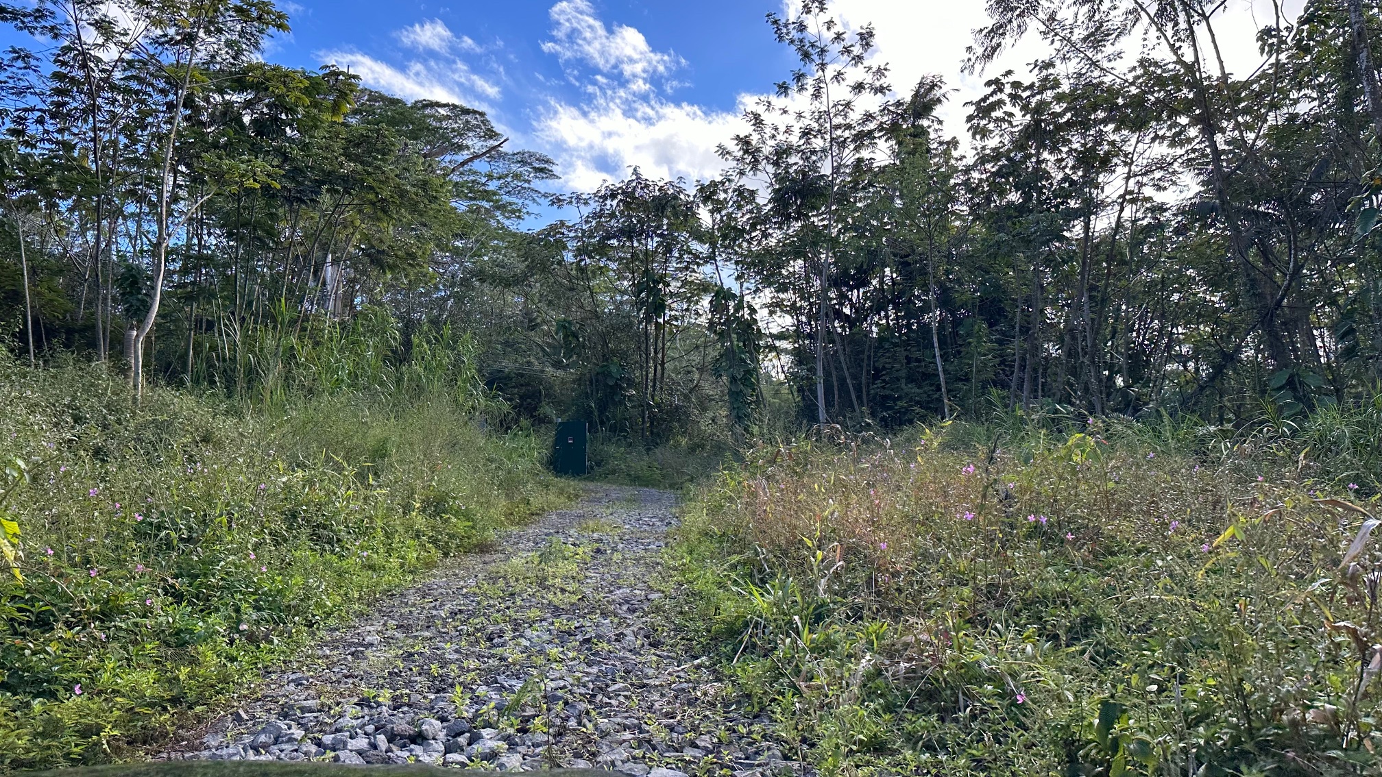 Kapoho Rd Property Photo 6