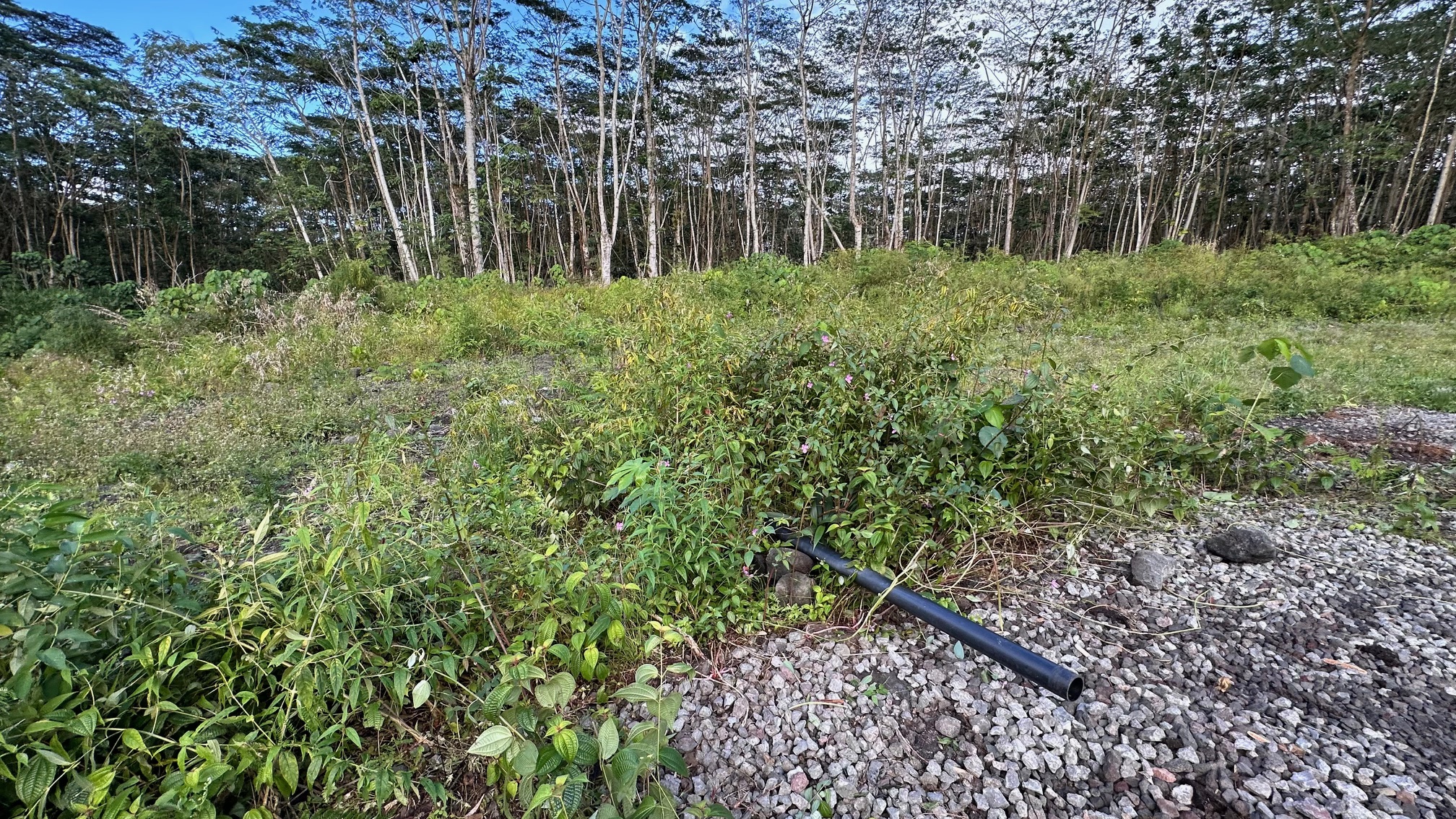 Kapoho Rd Property Photo 7