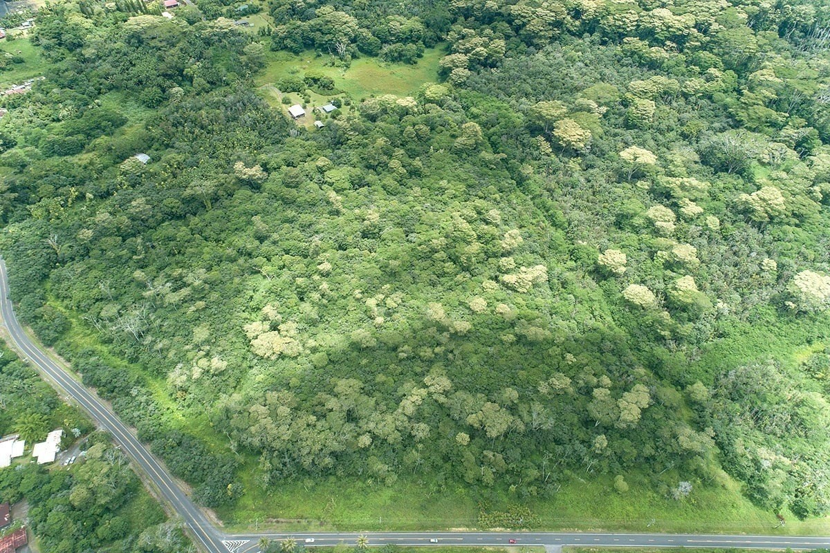 Kapoho Rd Property Photo 17
