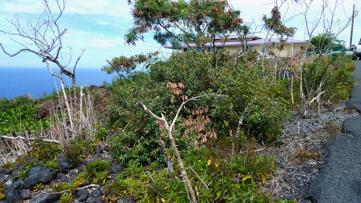 87-3179 Honu Hiamoe Rd Property Photo 5