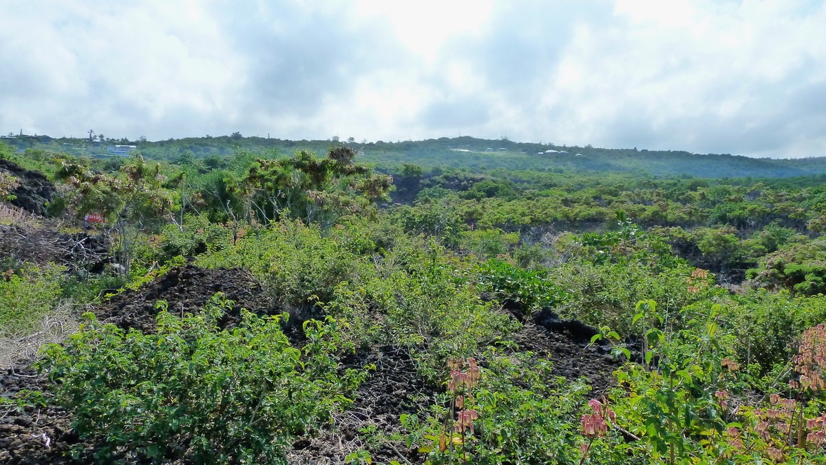 87-3179 Honu Hiamoe Rd Property Photo 8