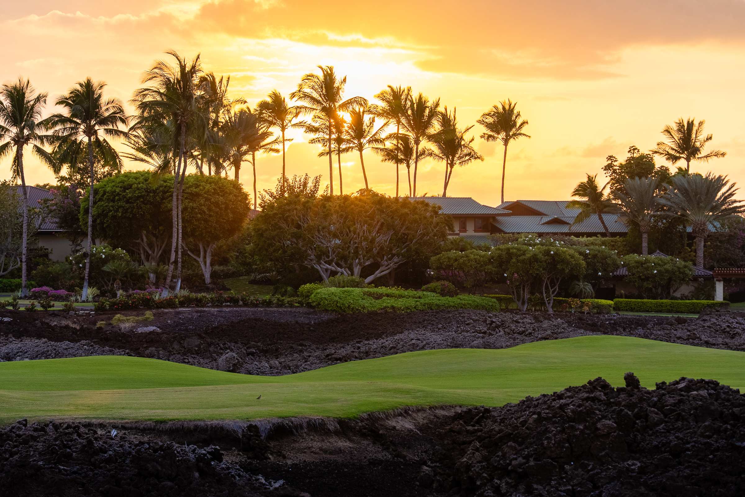 68-1050 Mauna Lani Point H201 Property Photo 23