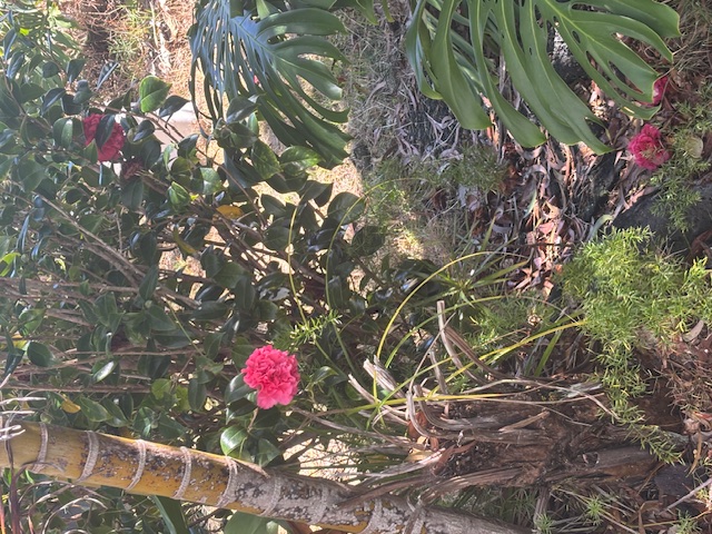 92-9247 Catamaran Lane Property Photo 17