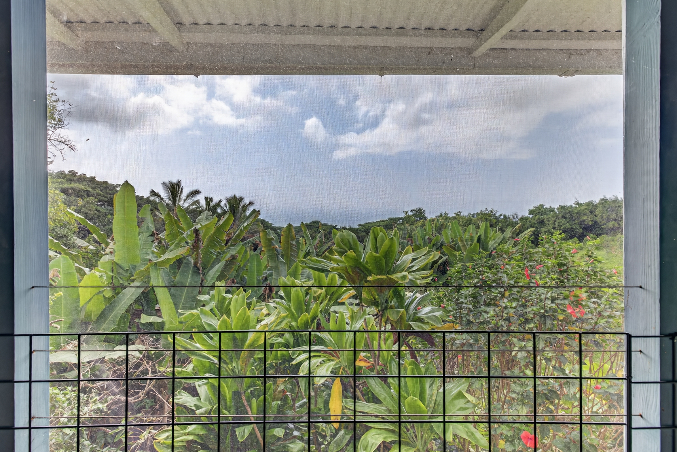 83-5531 Hawaii Belt Rd Property Photo 16