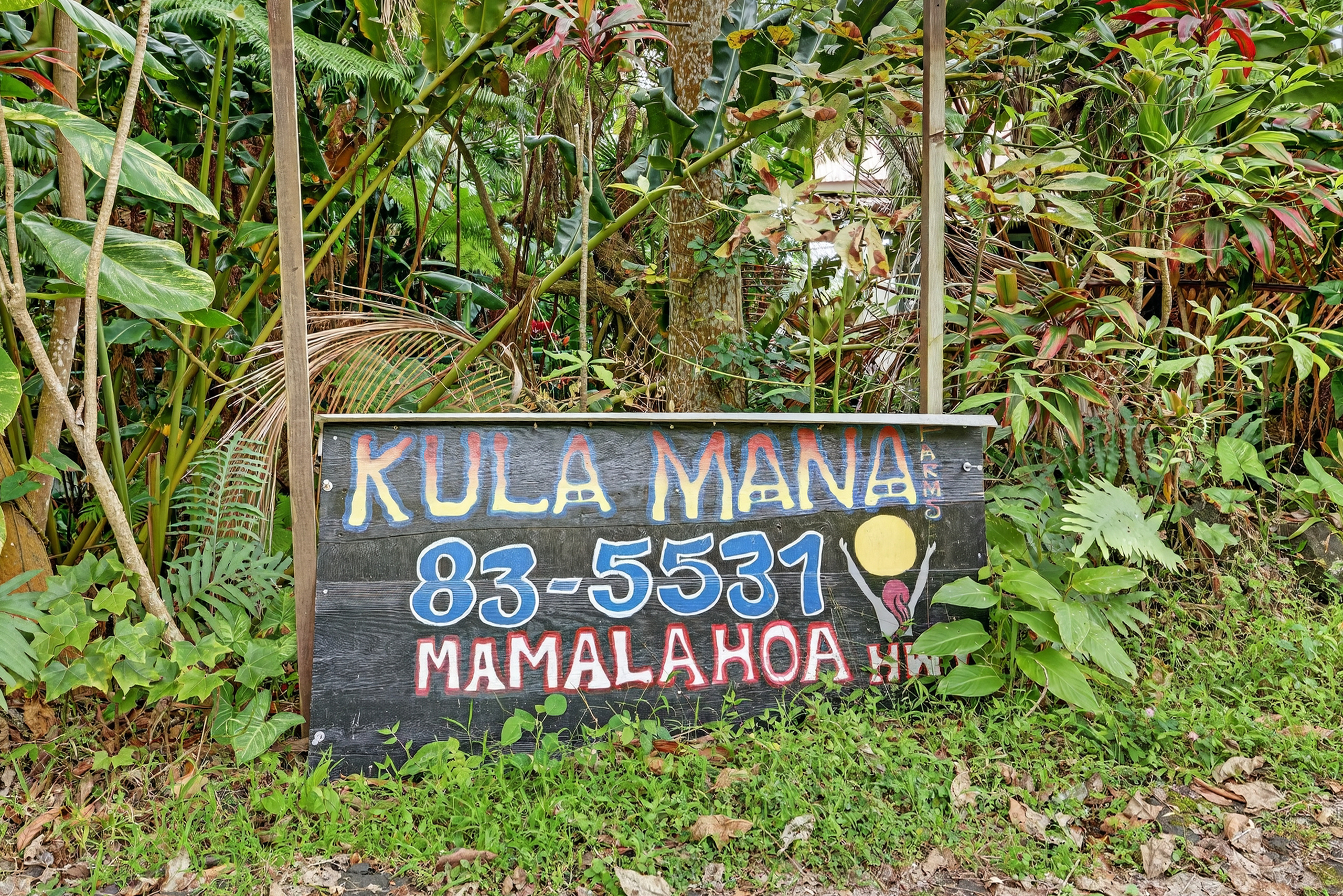 83-5531 Hawaii Belt Rd Property Photo 26