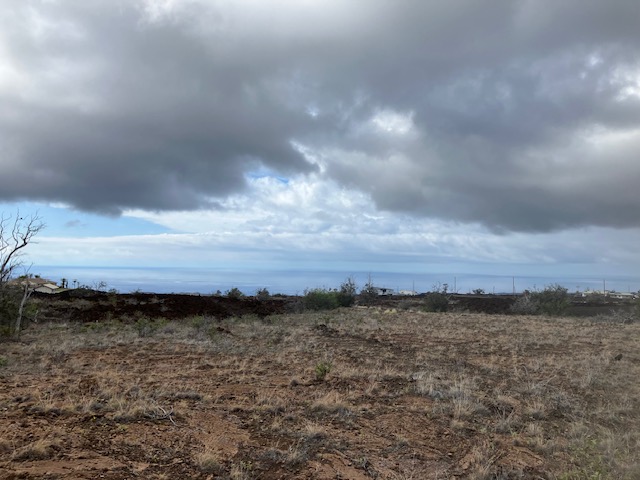 Hibiscus Dr Property Photo 2