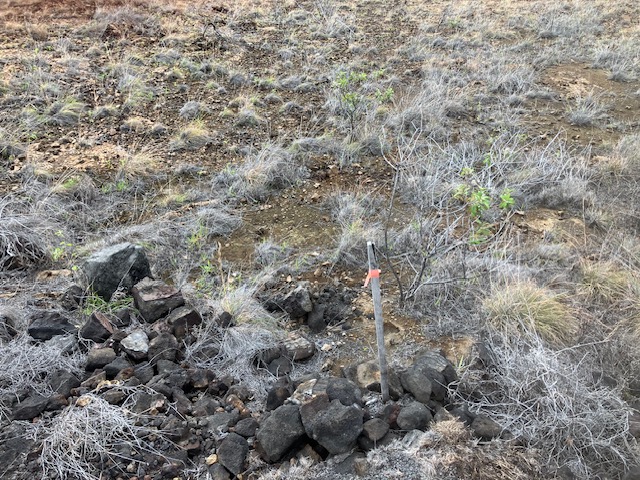 Hibiscus Dr Property Photo 4