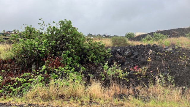 Milolii Rd Property Photo 2