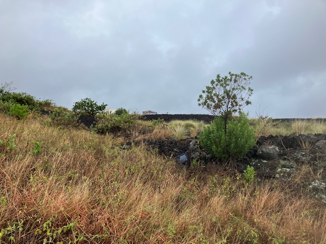 Milolii Rd Property Photo 5