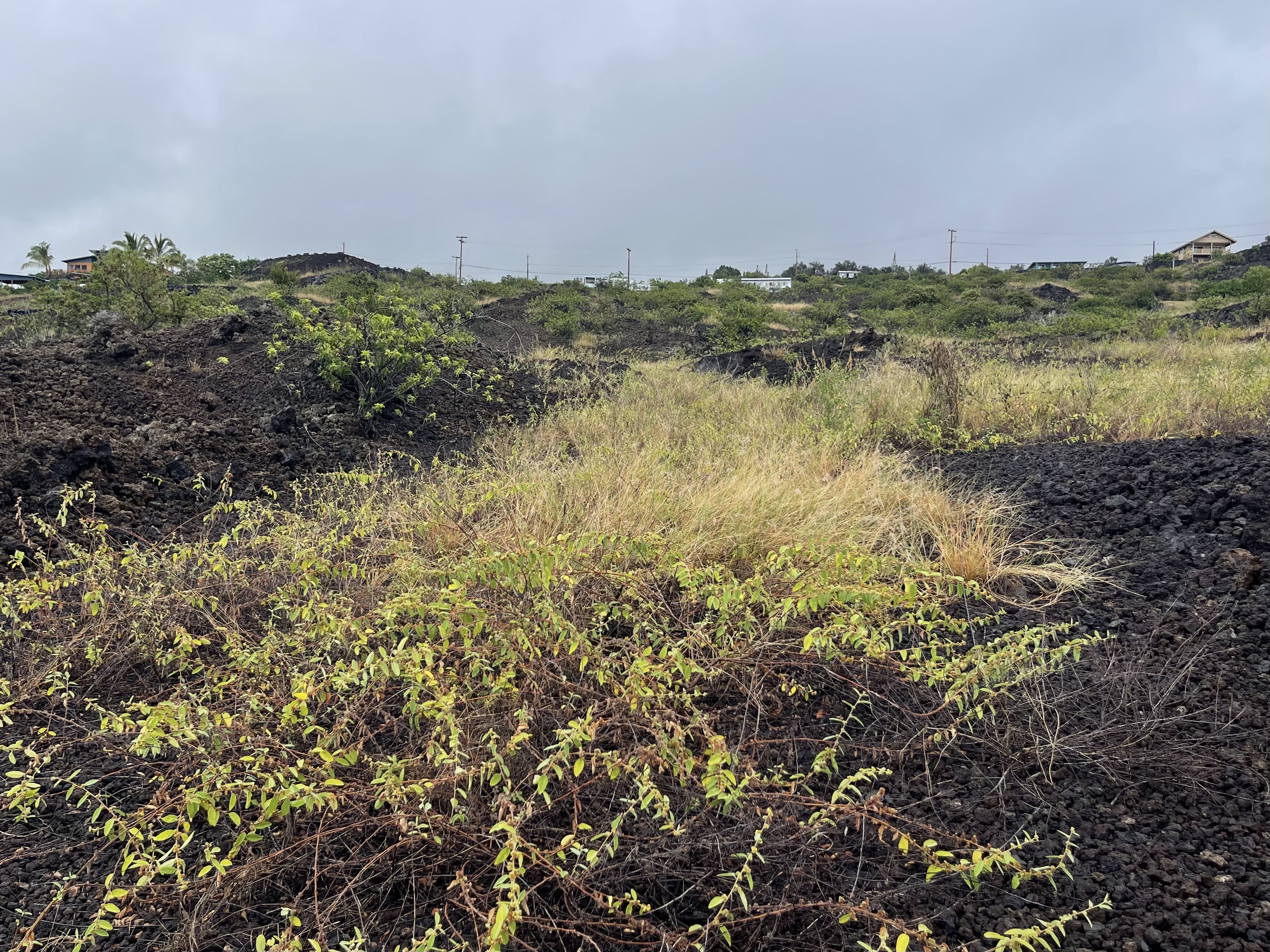 Milolii Rd Property Photo 11