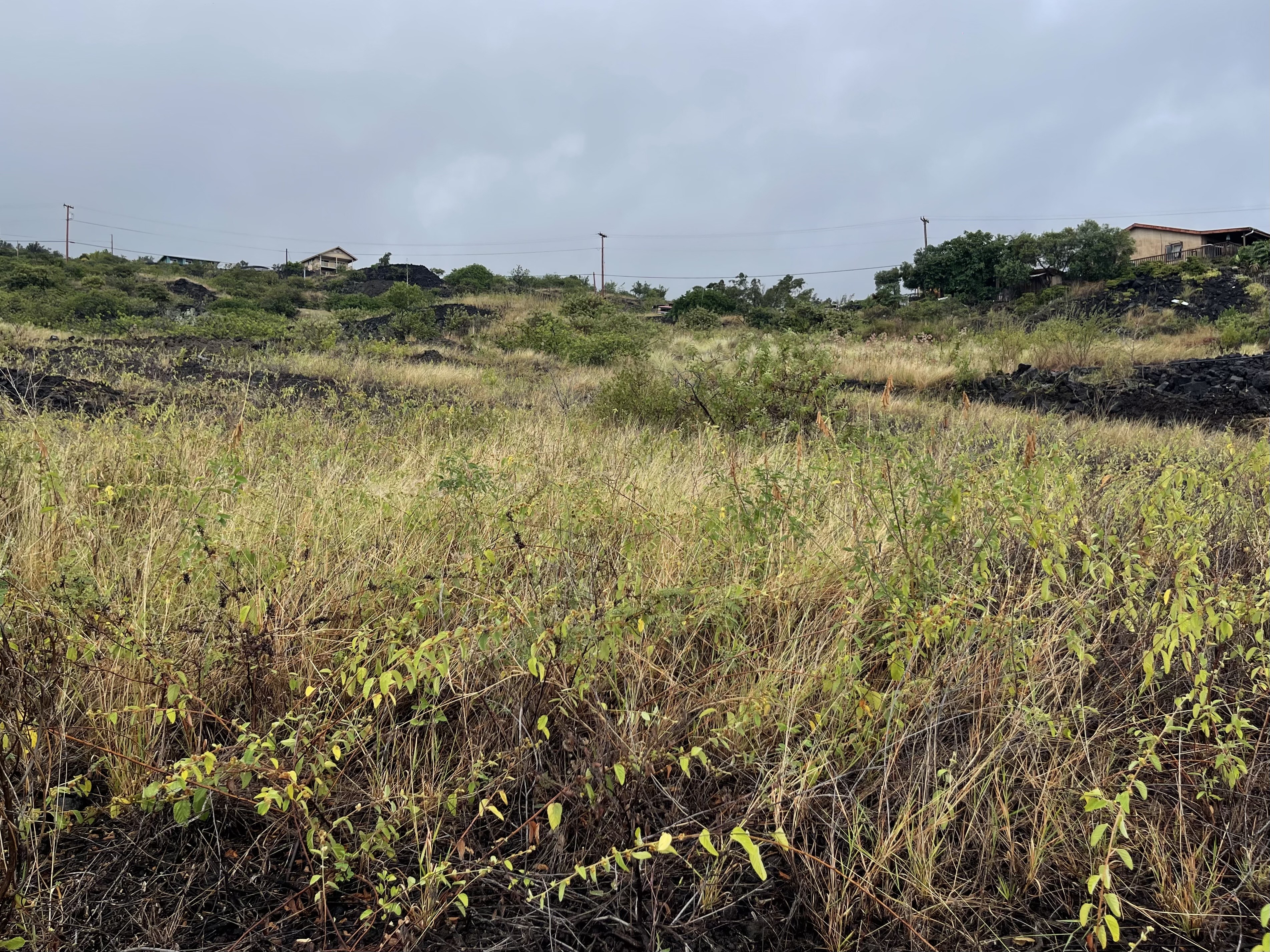 Milolii Rd Property Photo 12