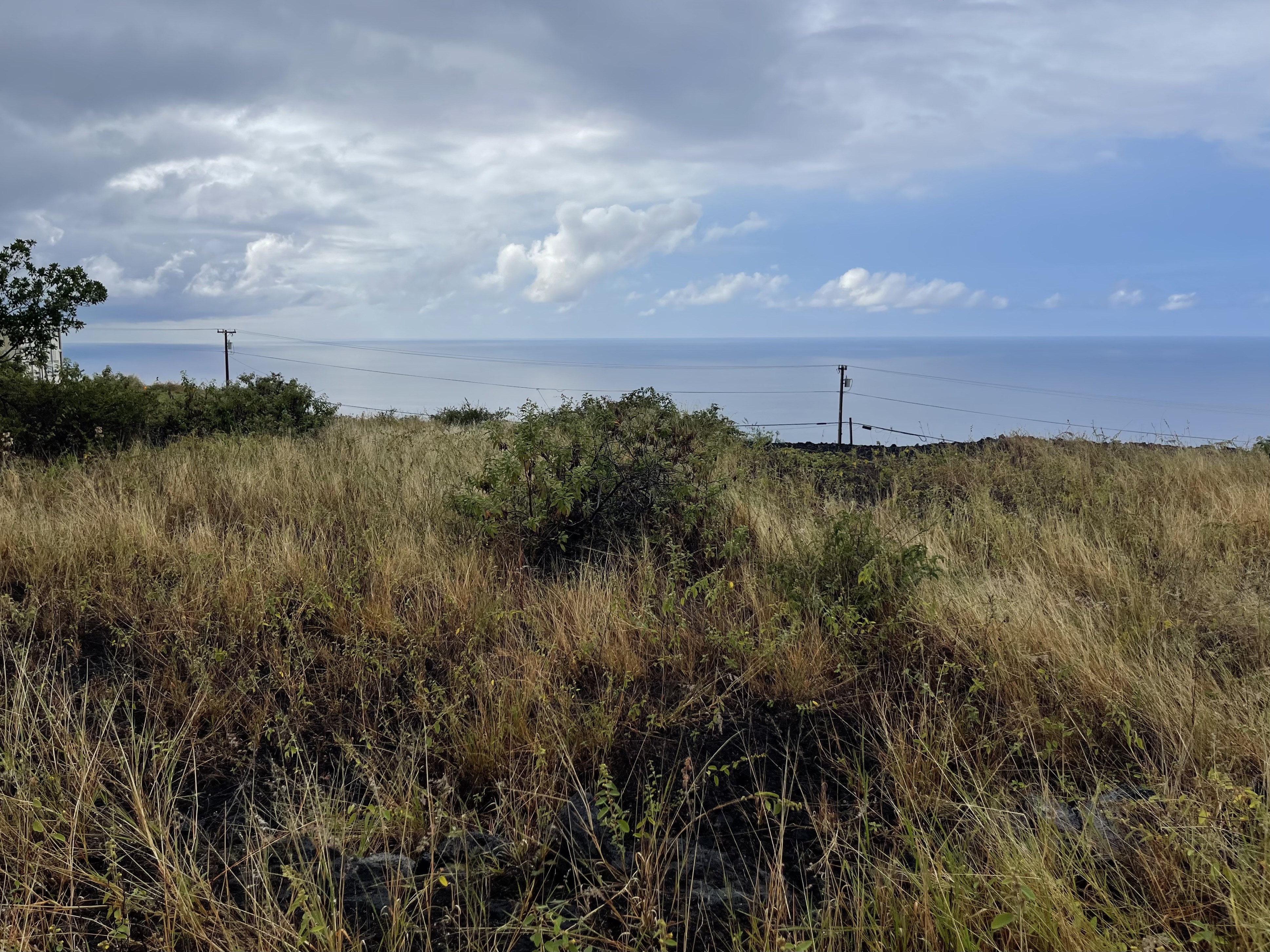 Milolii Rd Property Photo 15