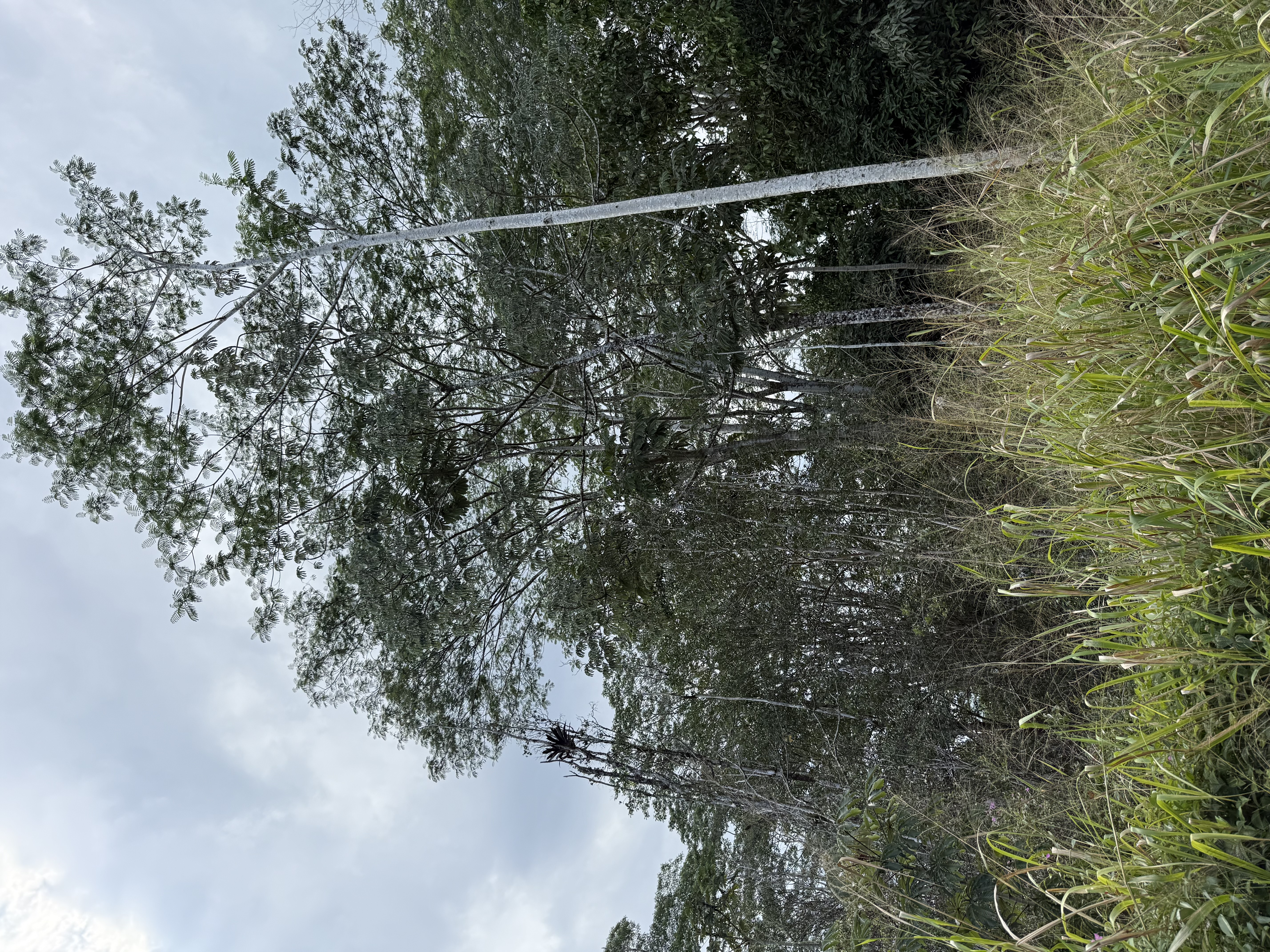 Sandalwood Ct Property Photo 5