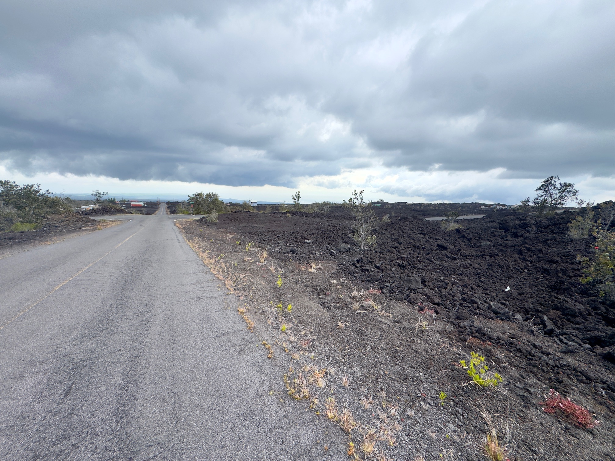 Marlin Blvd Property Photo 6