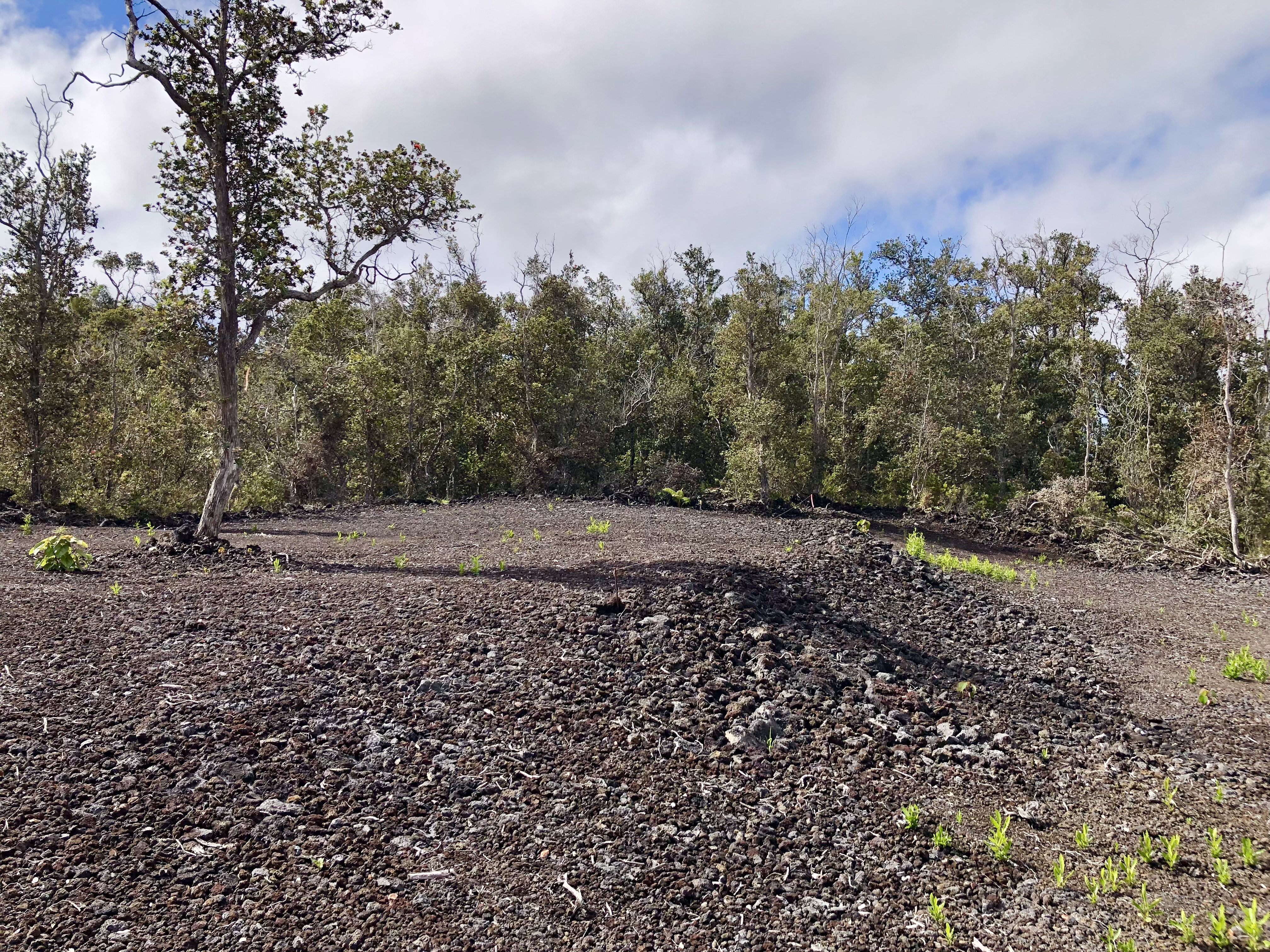 Paradise Pkwy Property Photo 3